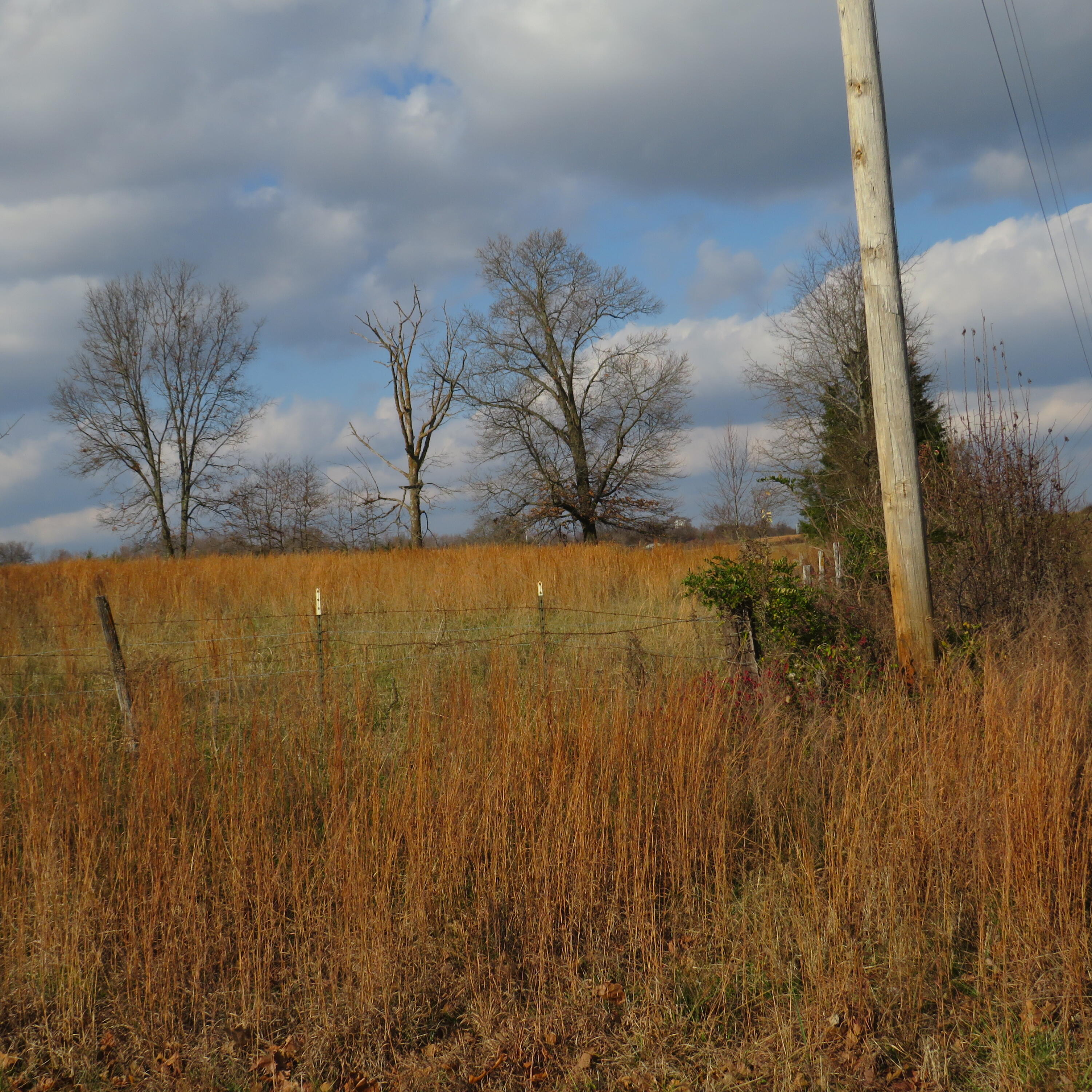 0000 County Road 1510 Property Photo 3