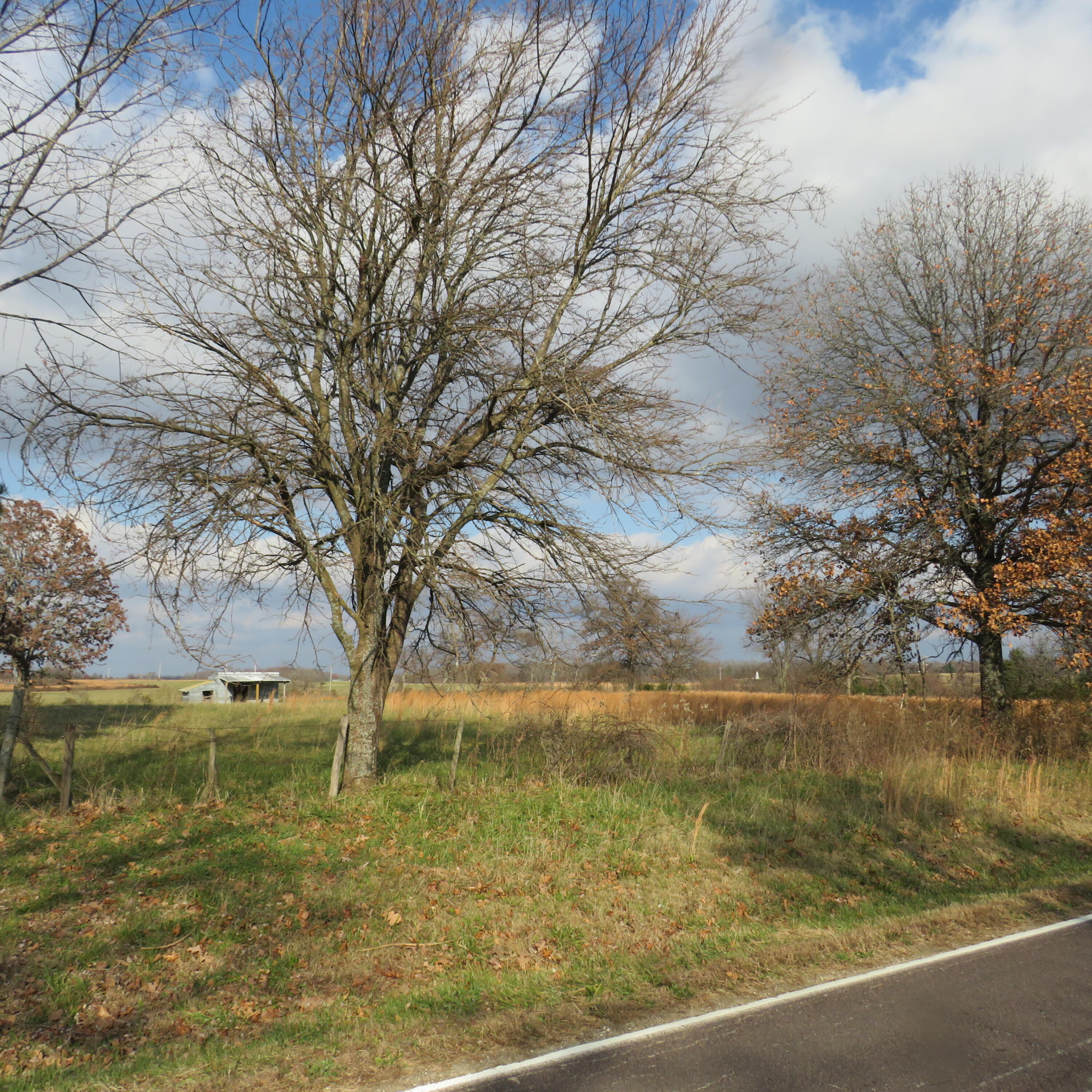 0000 County Road 1510 Property Photo 6