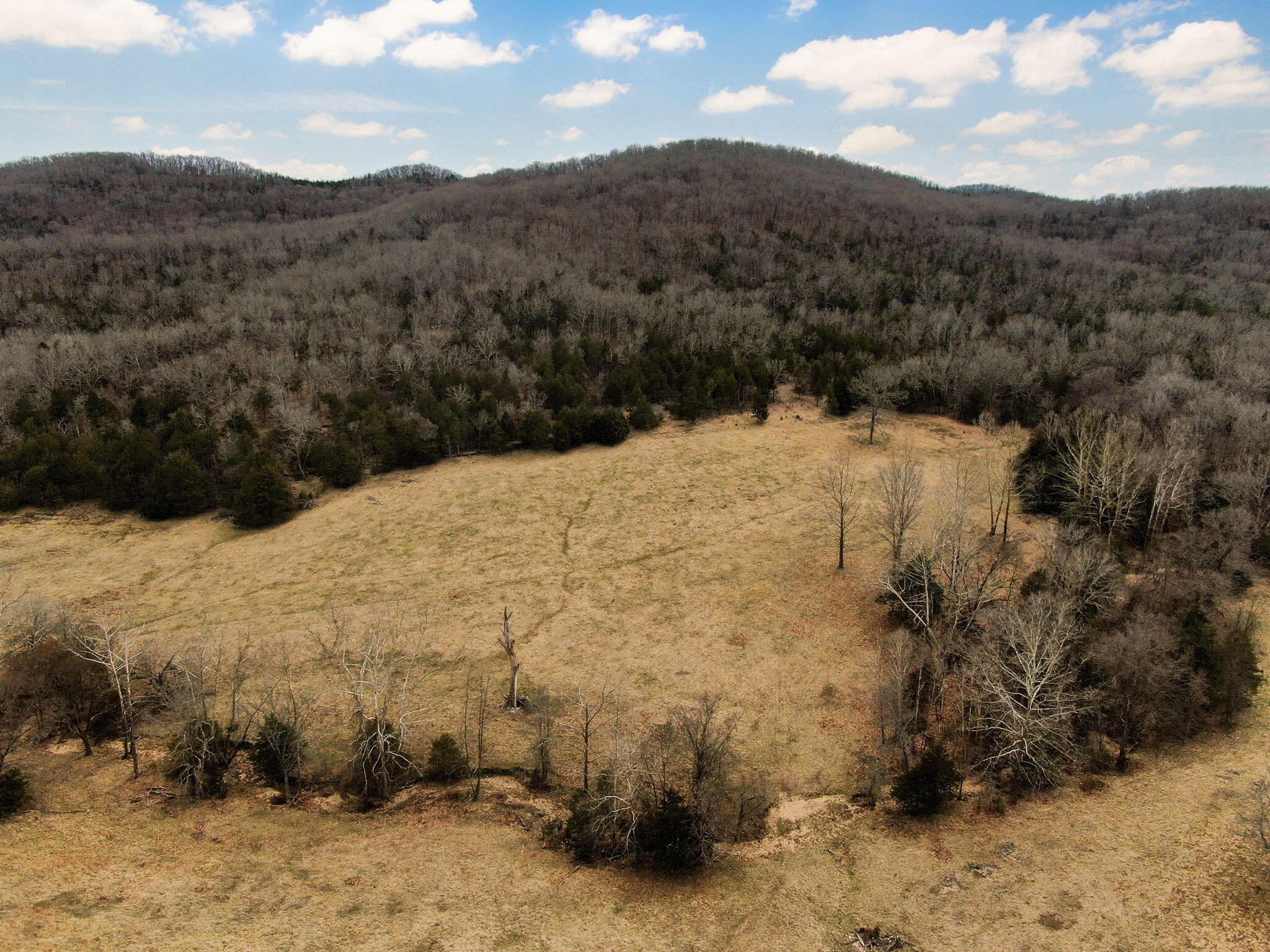 19777 State Highway 125 Property Photo 51