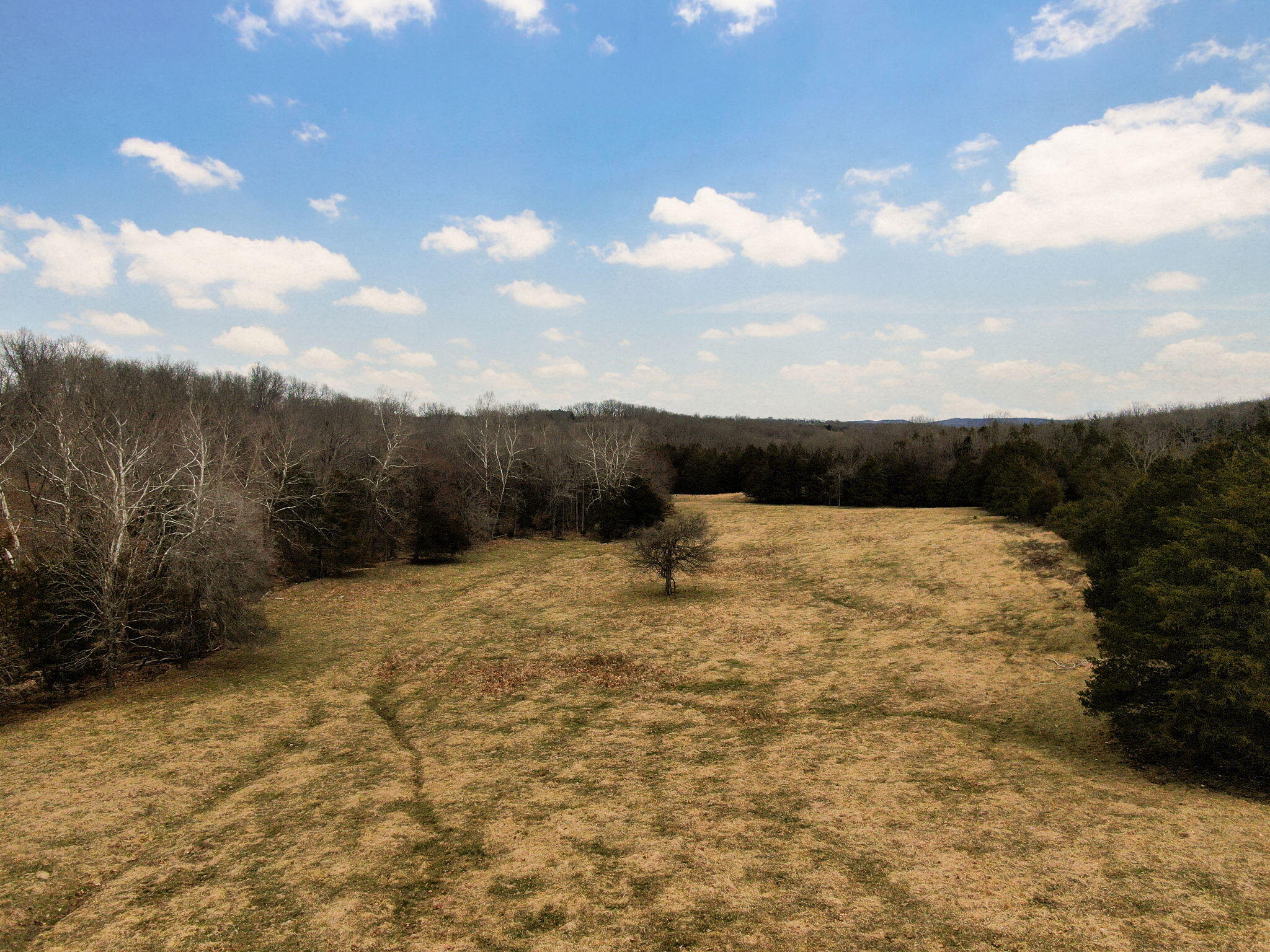 19777 State Highway 125 Property Photo 58