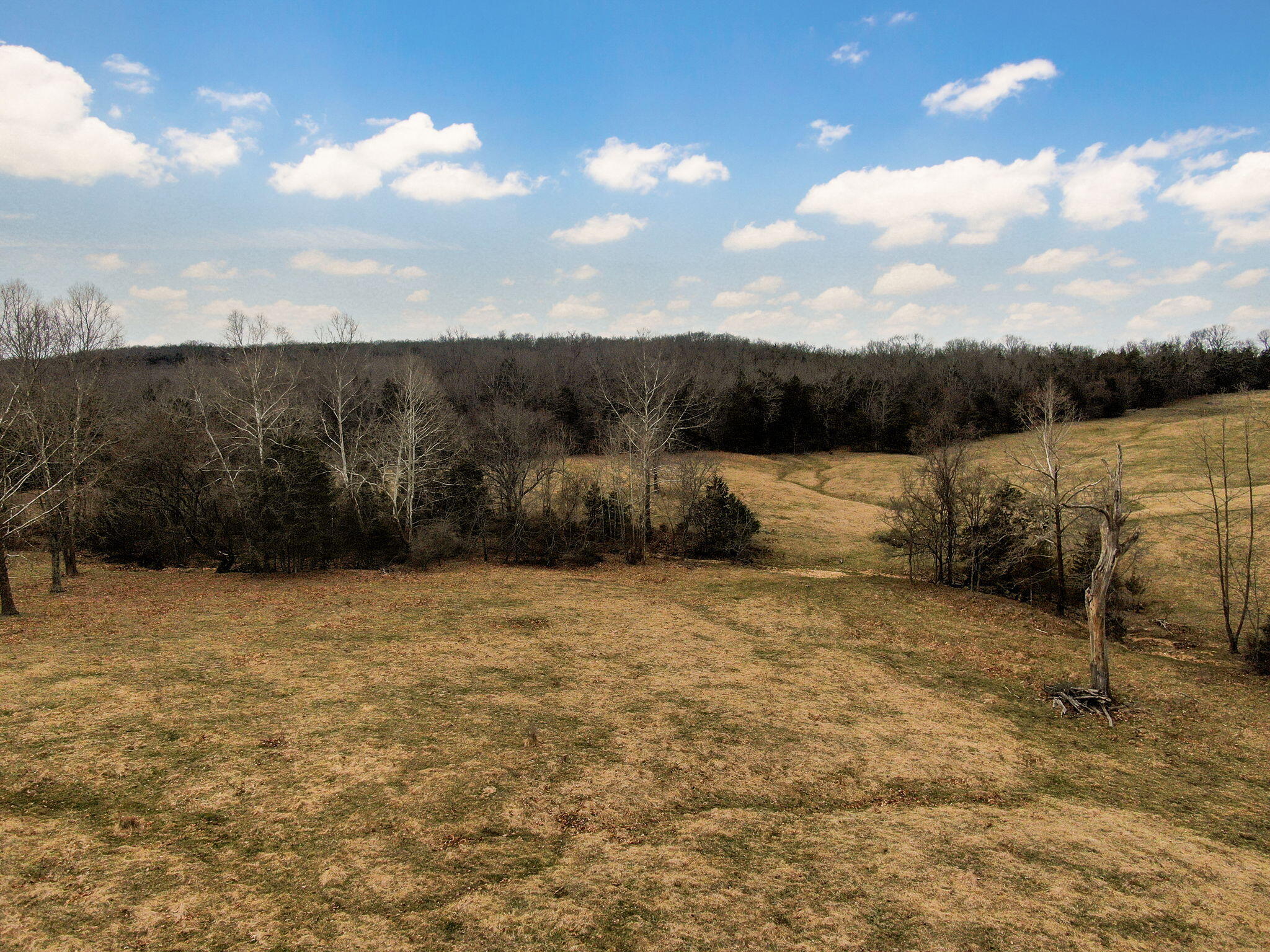 19777 State Highway 125 Property Photo 59
