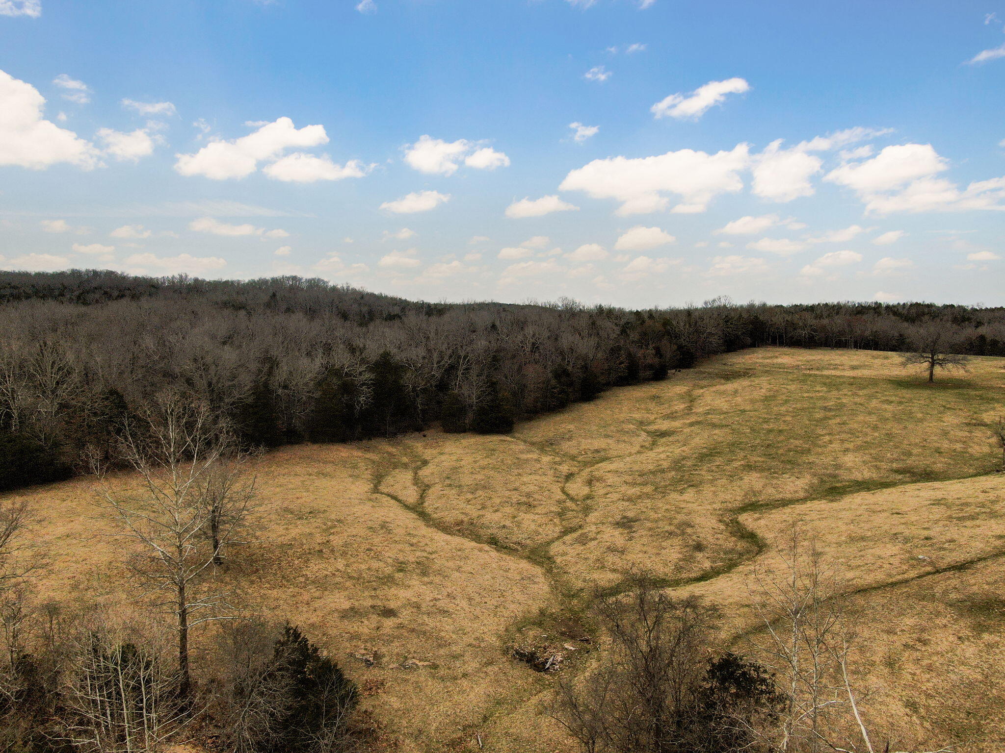 19777 State Highway 125 Property Photo 60