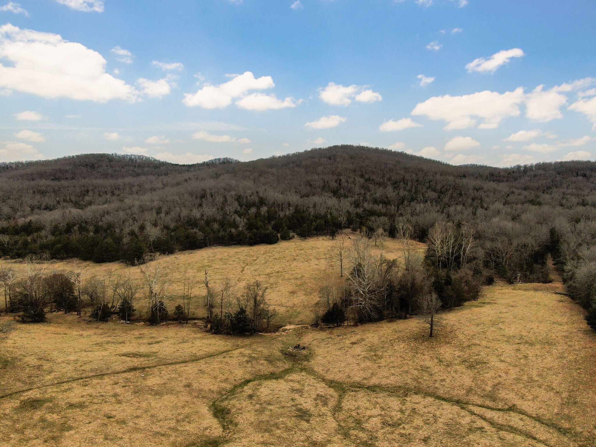 19777 State Highway 125 Property Photo 62
