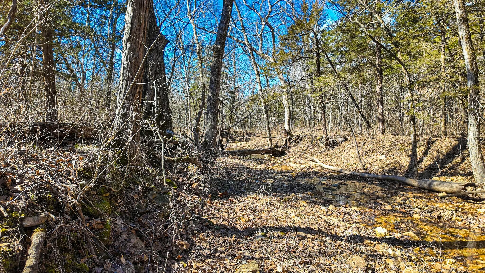 10875 Southeast Highway 54 Property Photo 6