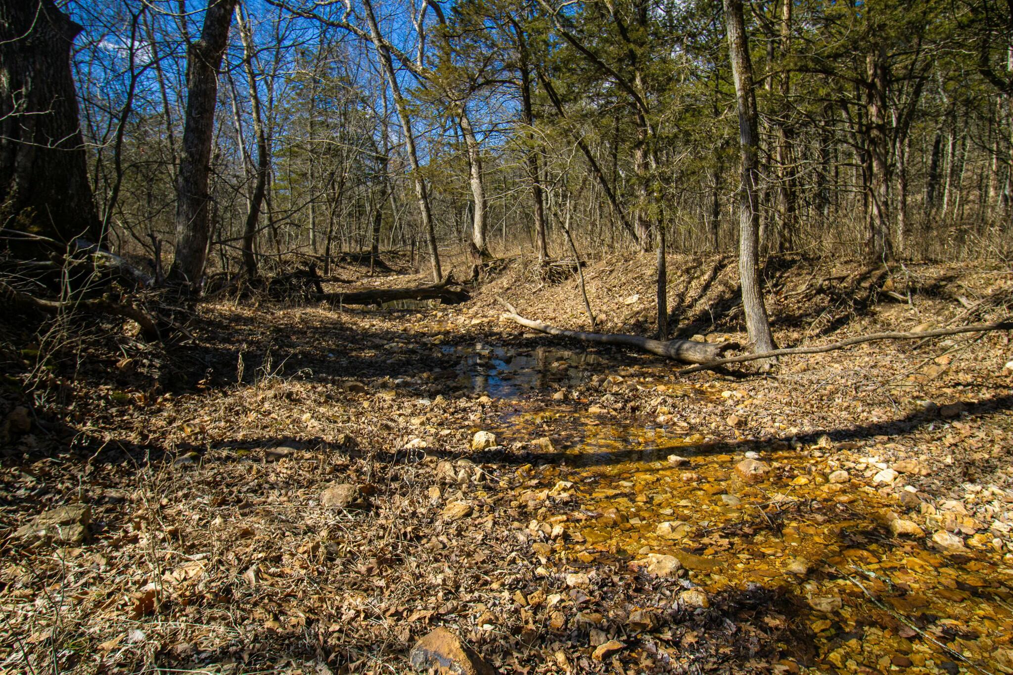 10875 Southeast Highway 54 Property Photo 8