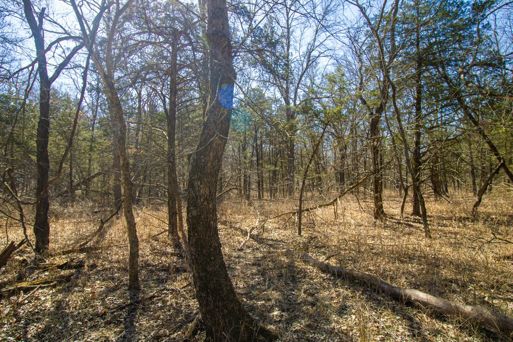 10875 Southeast Highway 54 Property Photo 50