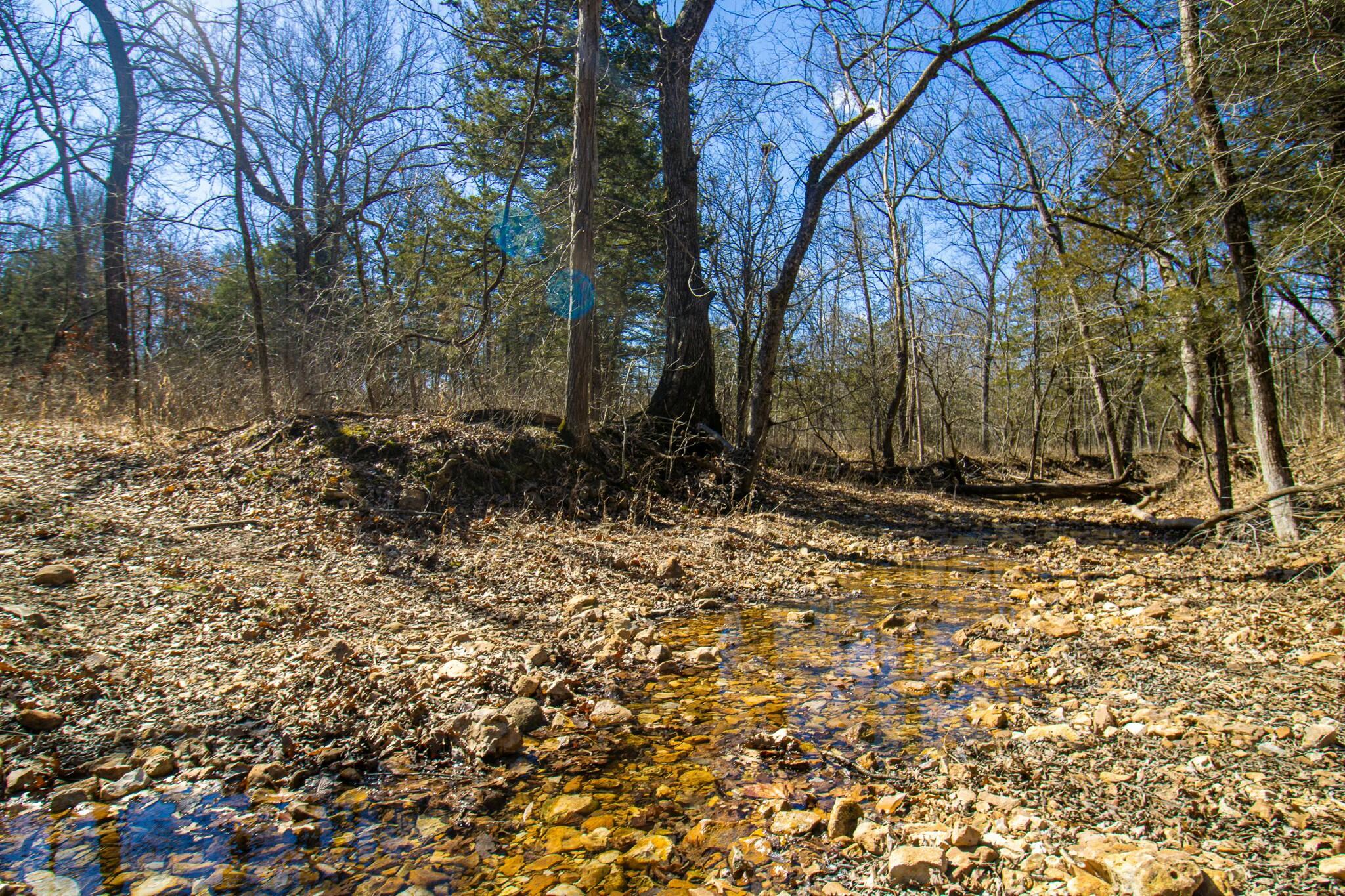 10875 Southeast Highway 54 Property Photo 52