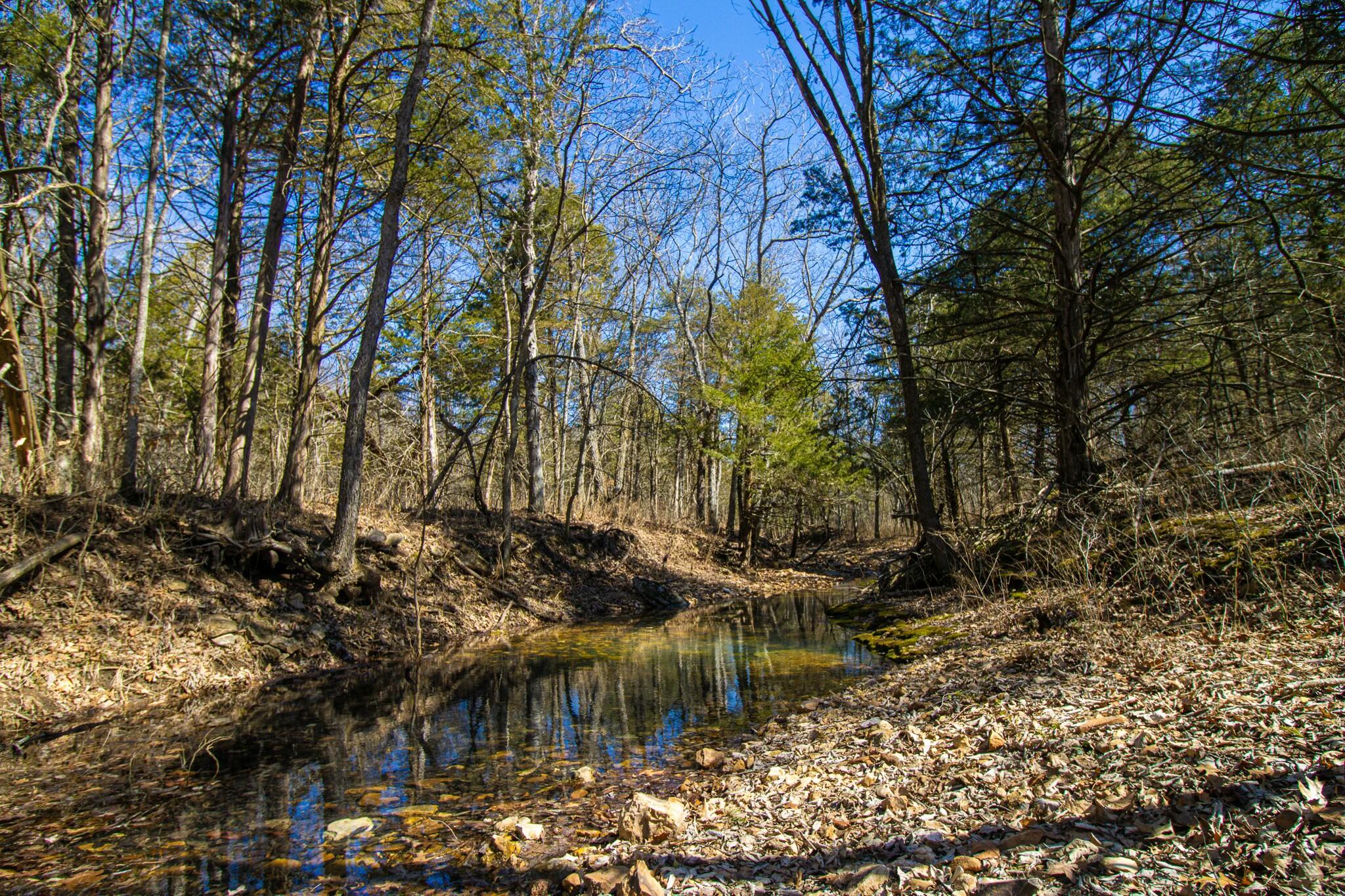 10875 Southeast Highway 54 Property Photo 53