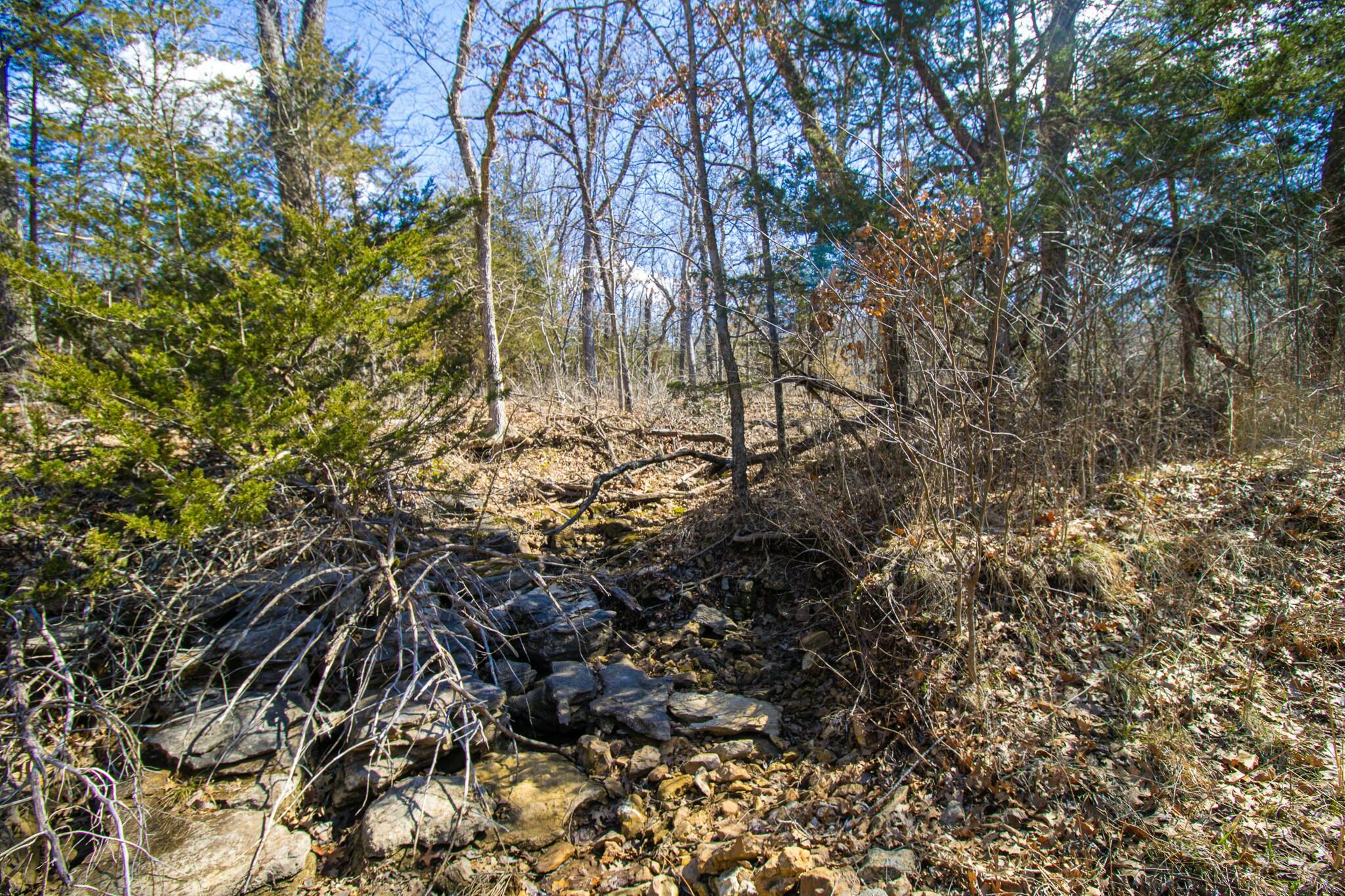10875 Southeast Highway 54 Property Photo 54
