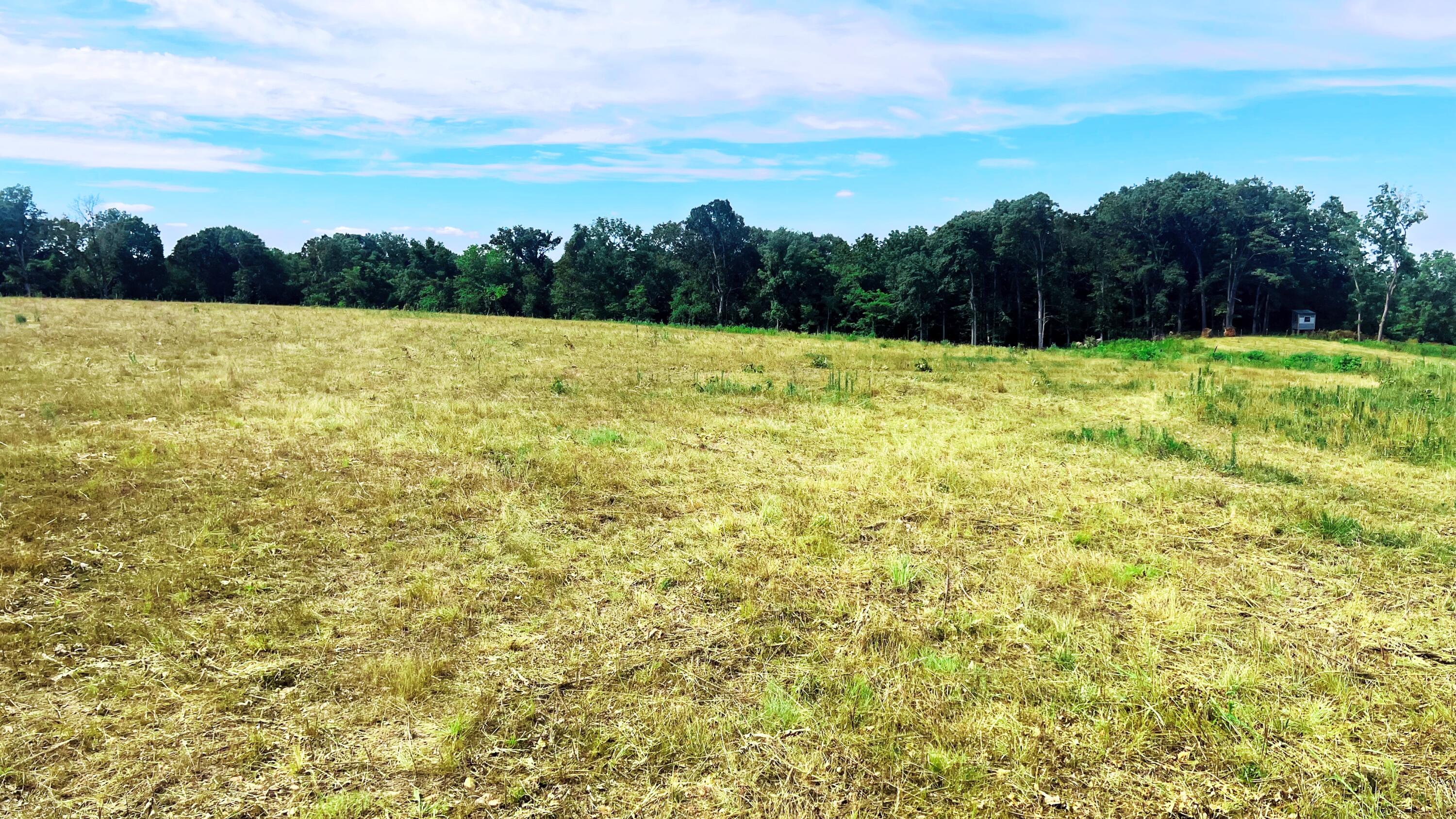 Tbd Farm Road 1040 Property Photo