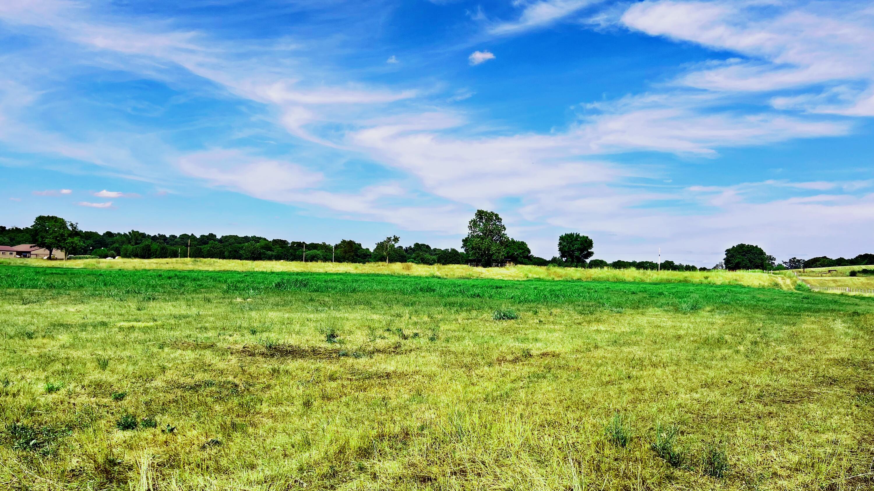 Tbd Farm Road 1040 Property Photo 6