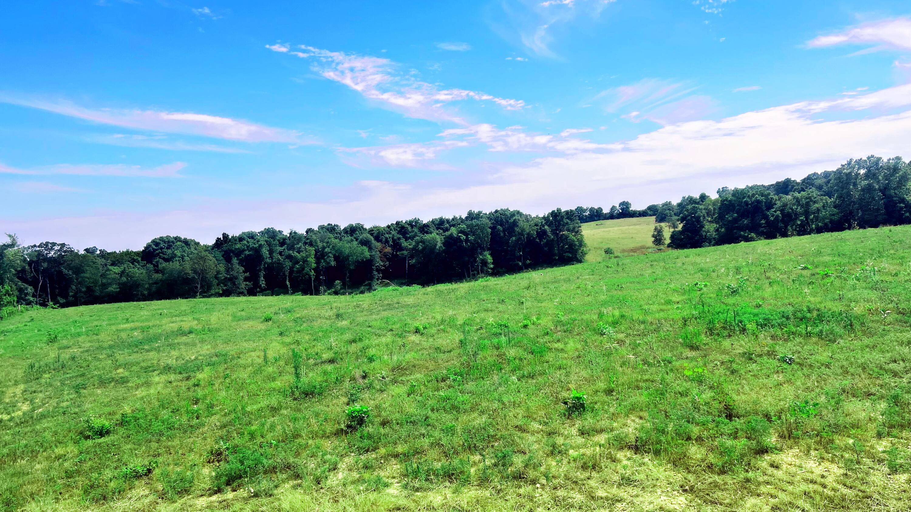 Tbd Farm Road 1040 Property Photo 7
