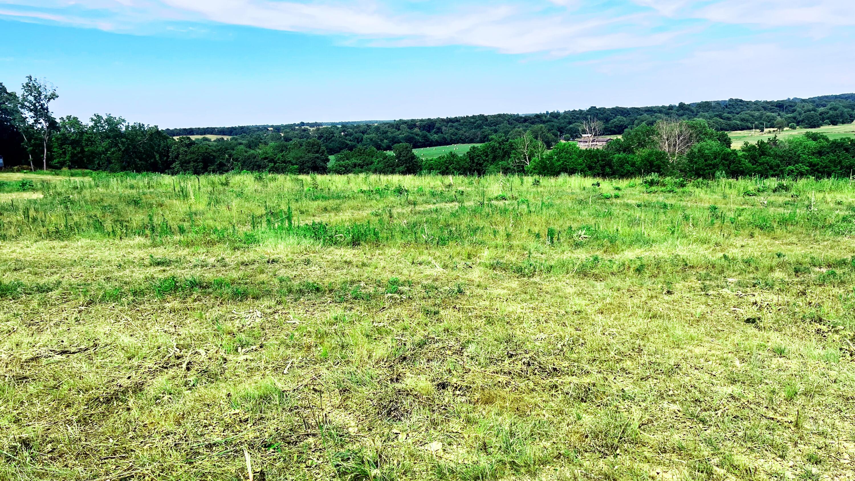 Tbd Farm Road 1040 Property Photo 8