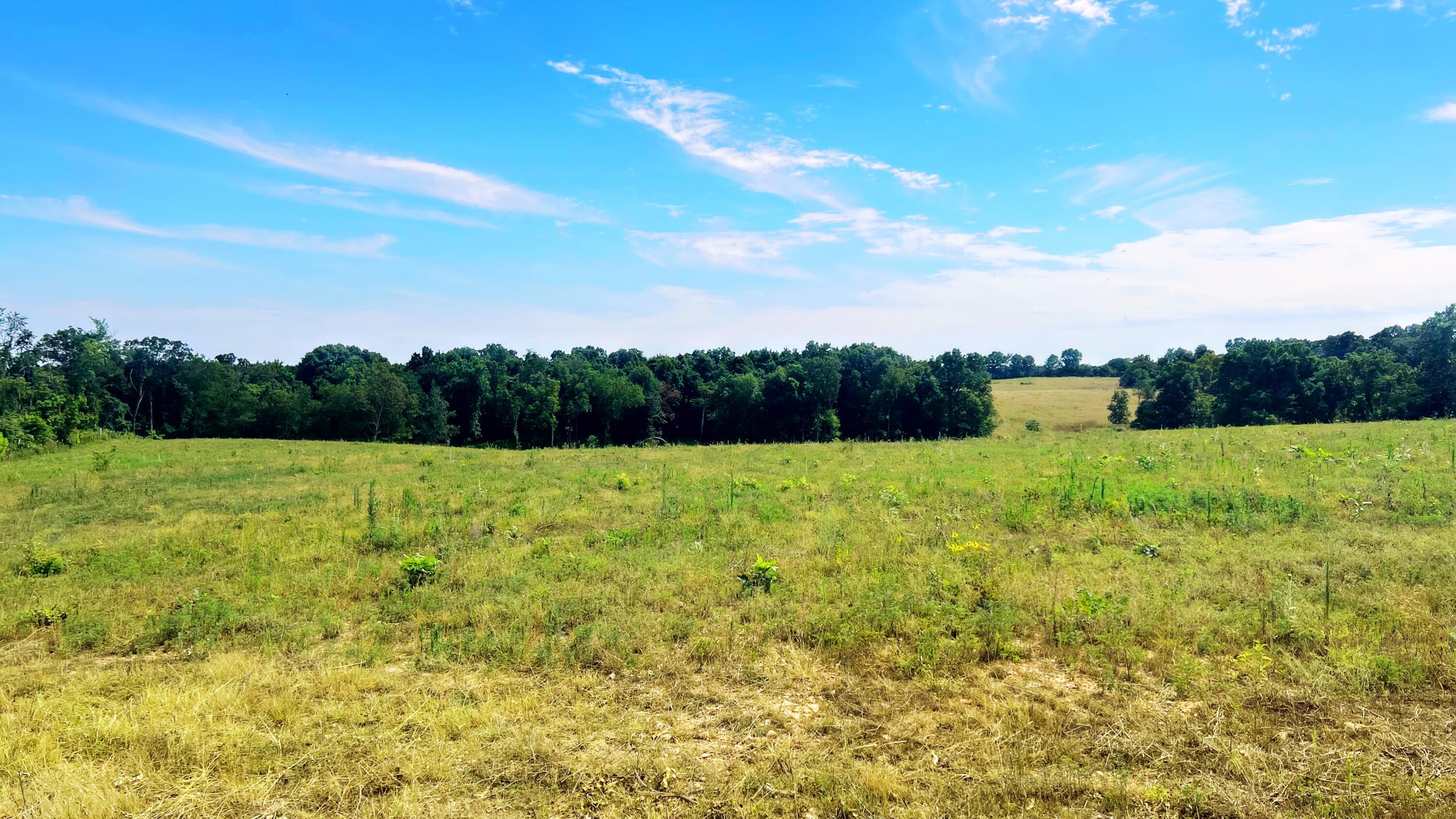 Tbd Farm Road 1040 Property Photo 9