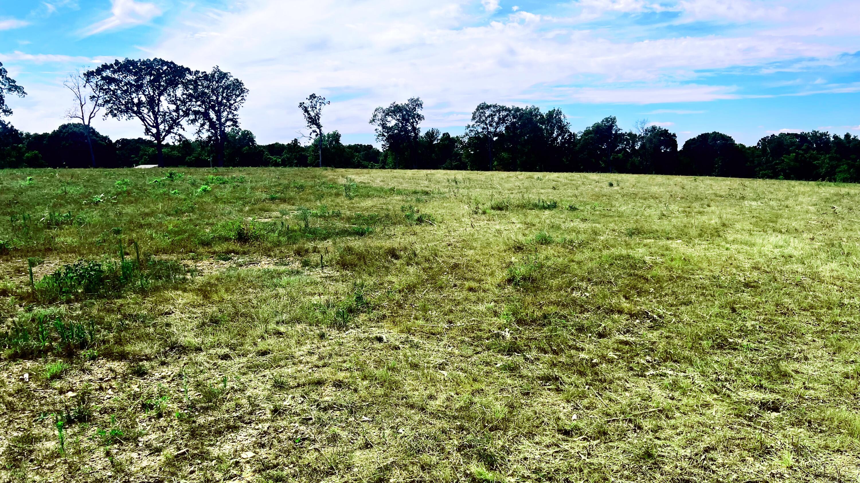 Tbd Farm Road 1040 Property Photo 12