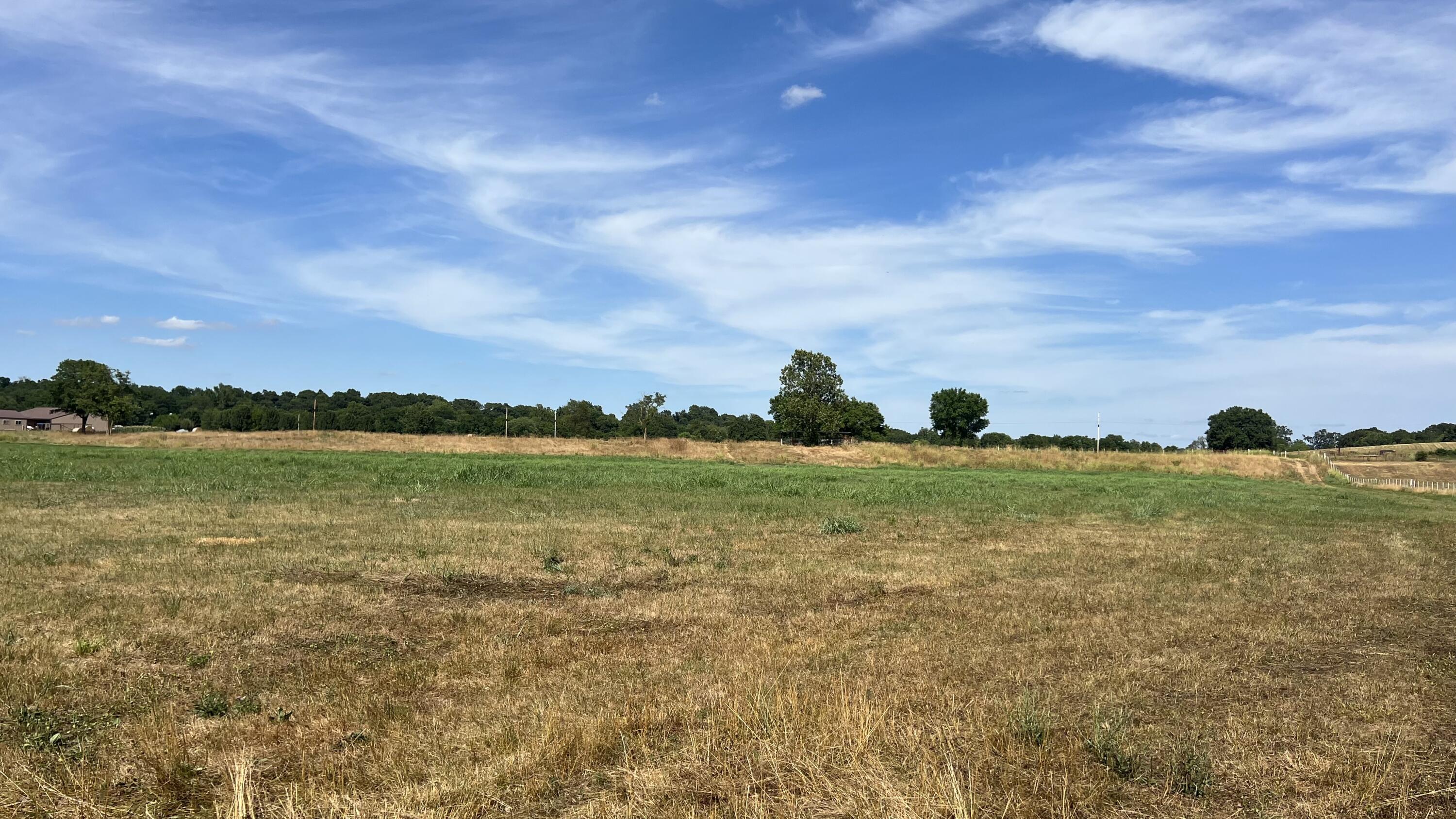 Tbd Farm Road 1040 Property Photo 14