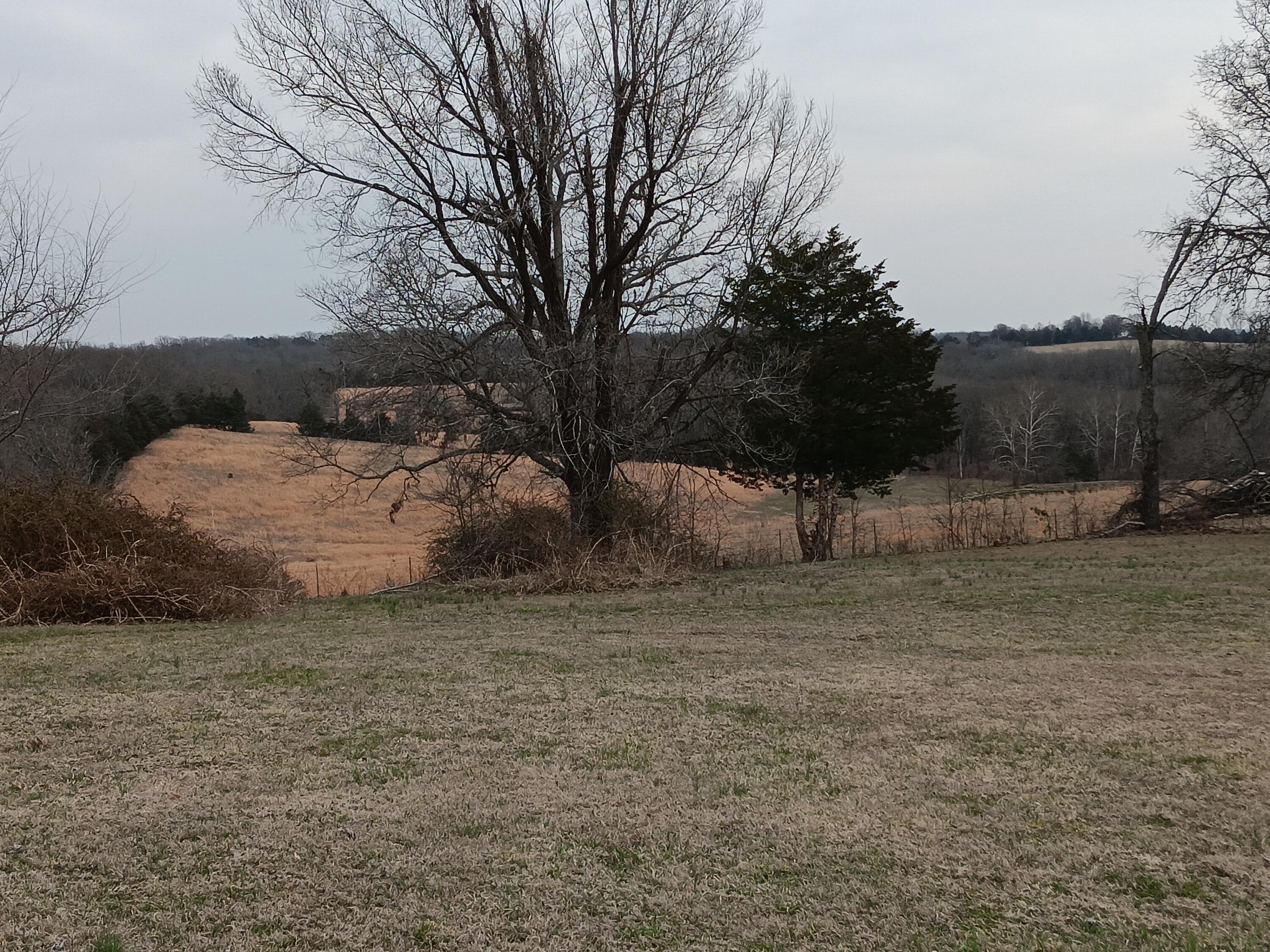 20738 State Highway 76 Property Photo 4