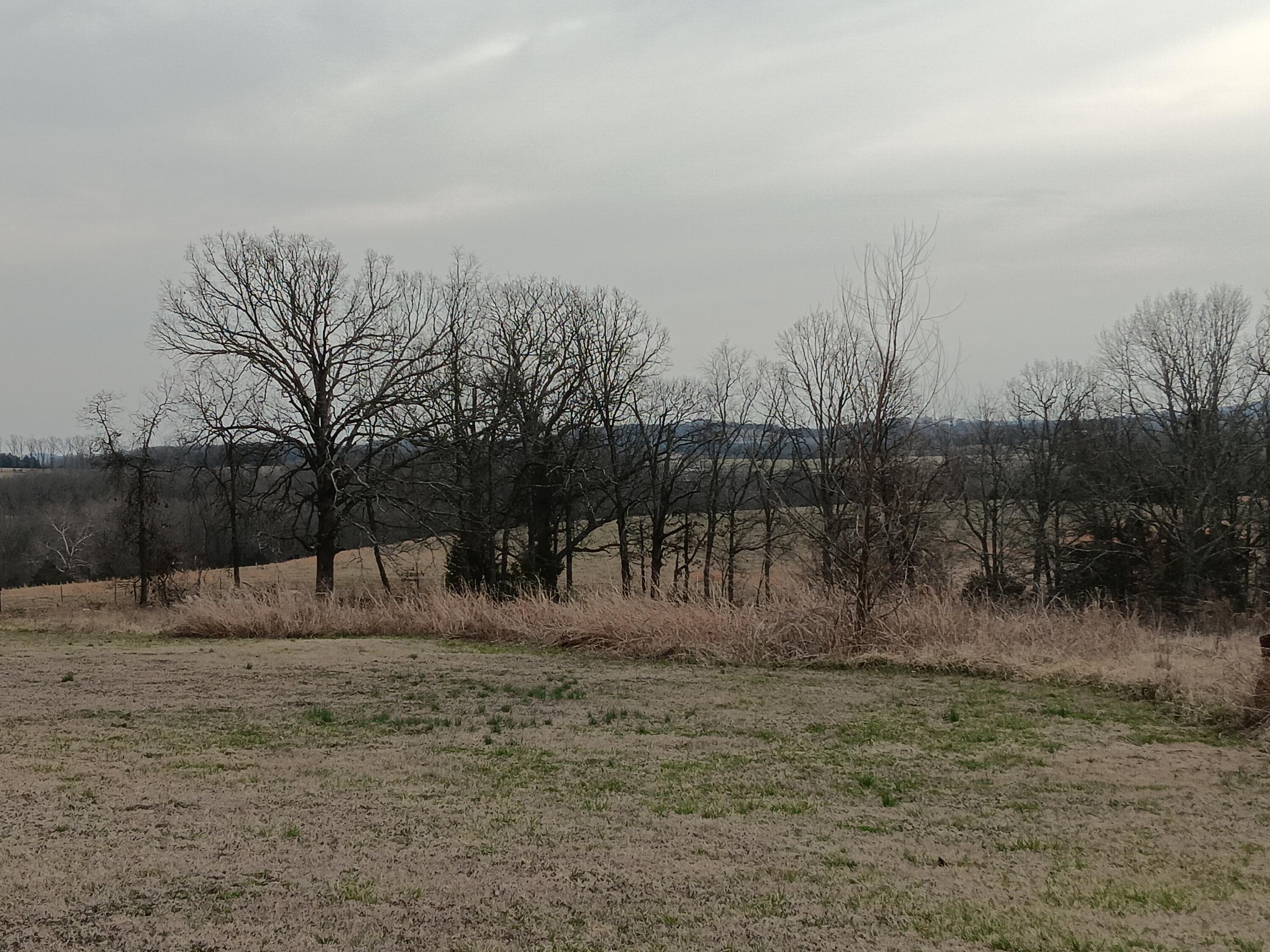 20738 State Highway 76 Property Photo 7