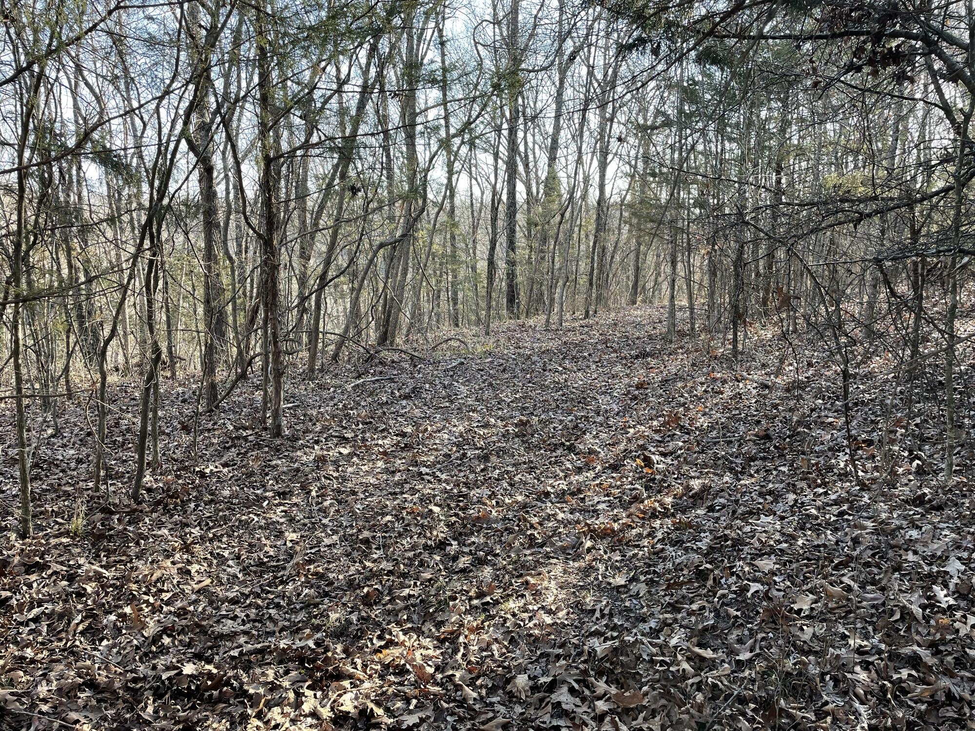 000 Bald Eagle Drive Property Photo 6