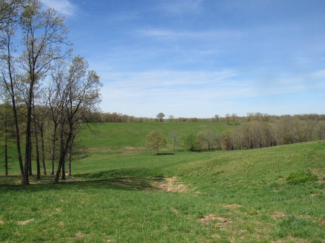 2799 Sparks Road Property Photo 91