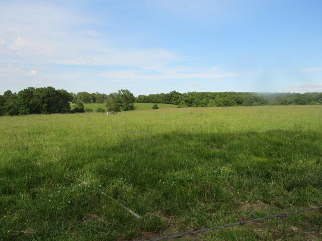 2799 Sparks Road Property Photo 93