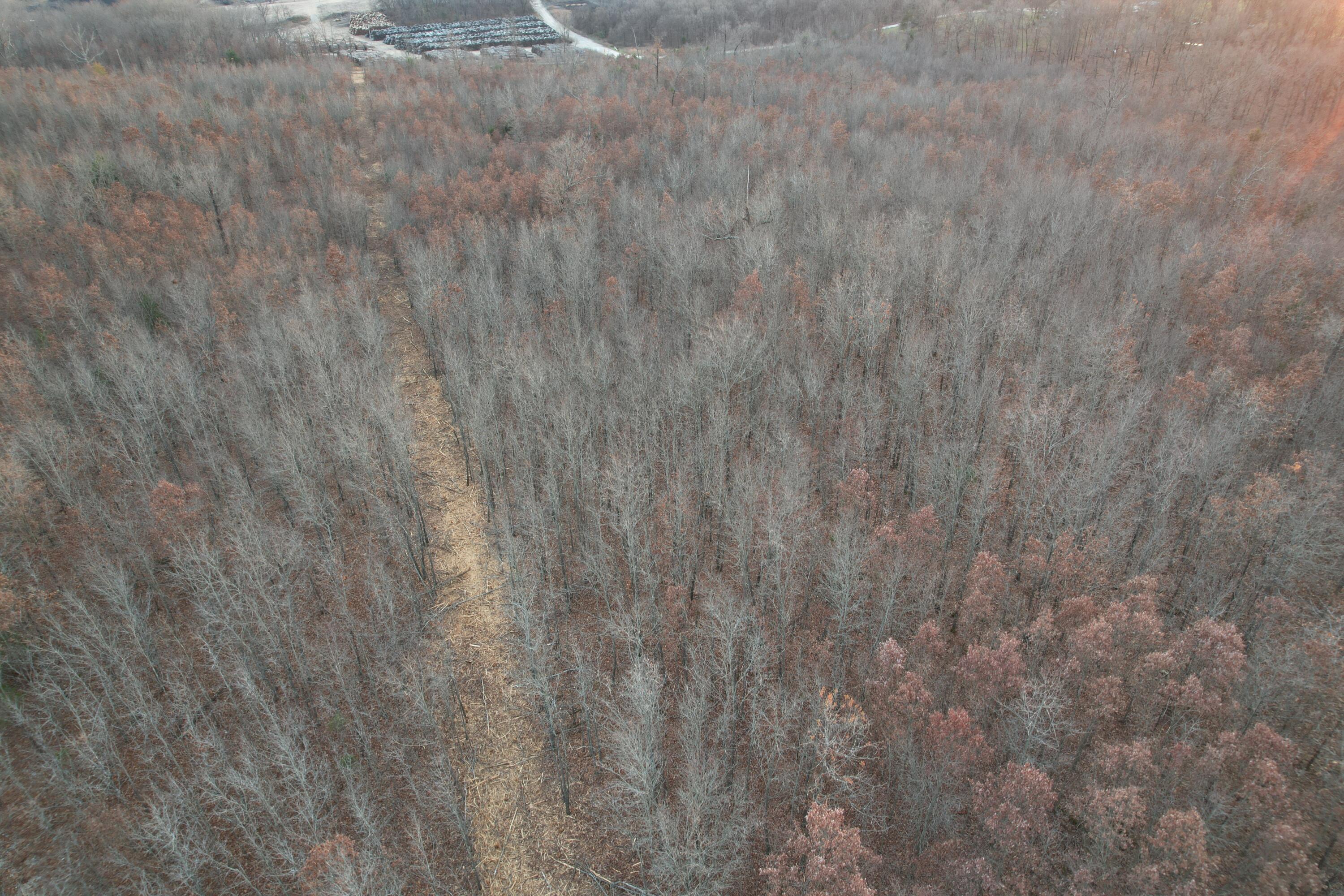 0000 County Road 2780 Property Photo 6