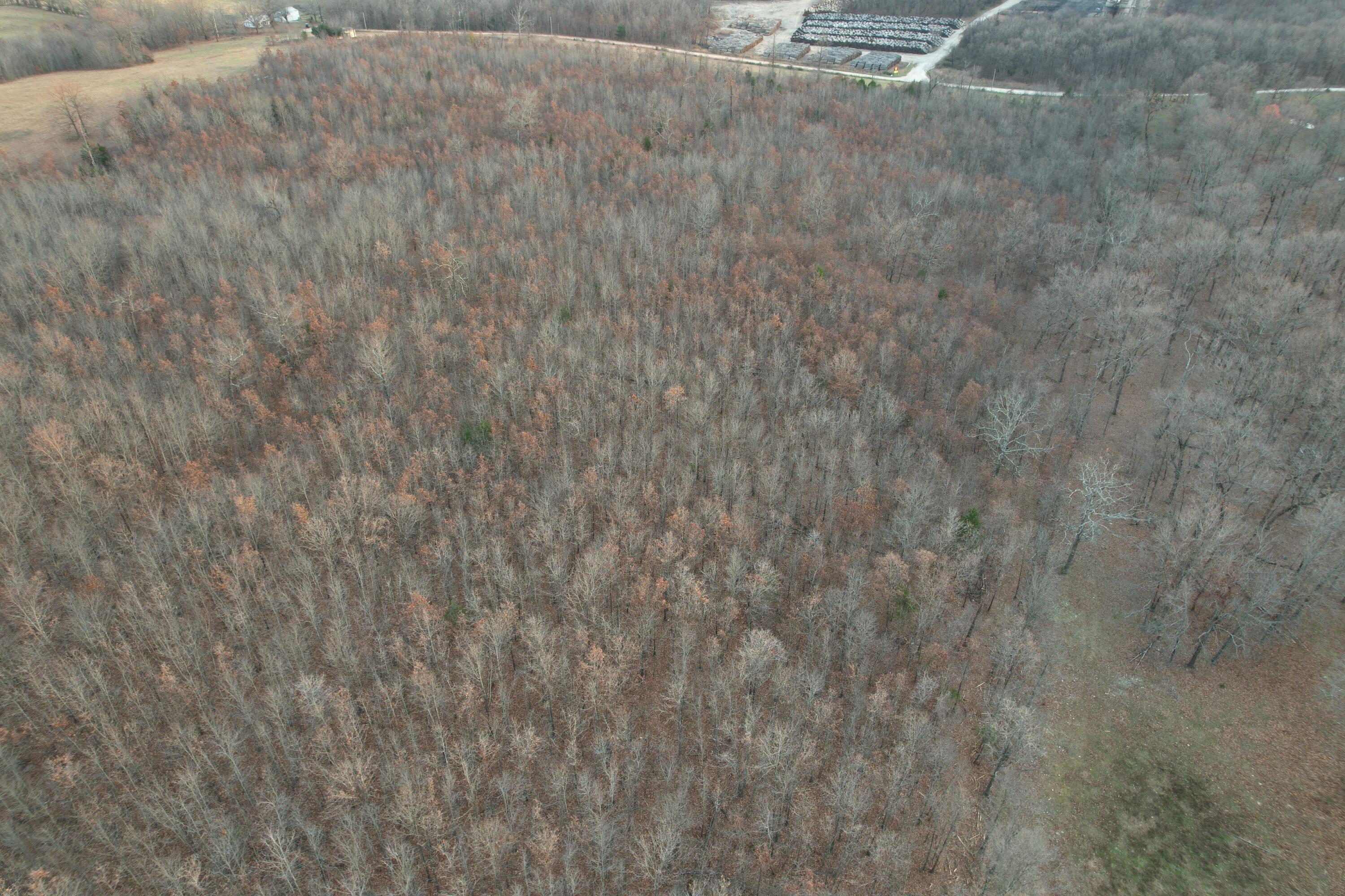0000 County Road 2780 Property Photo 7