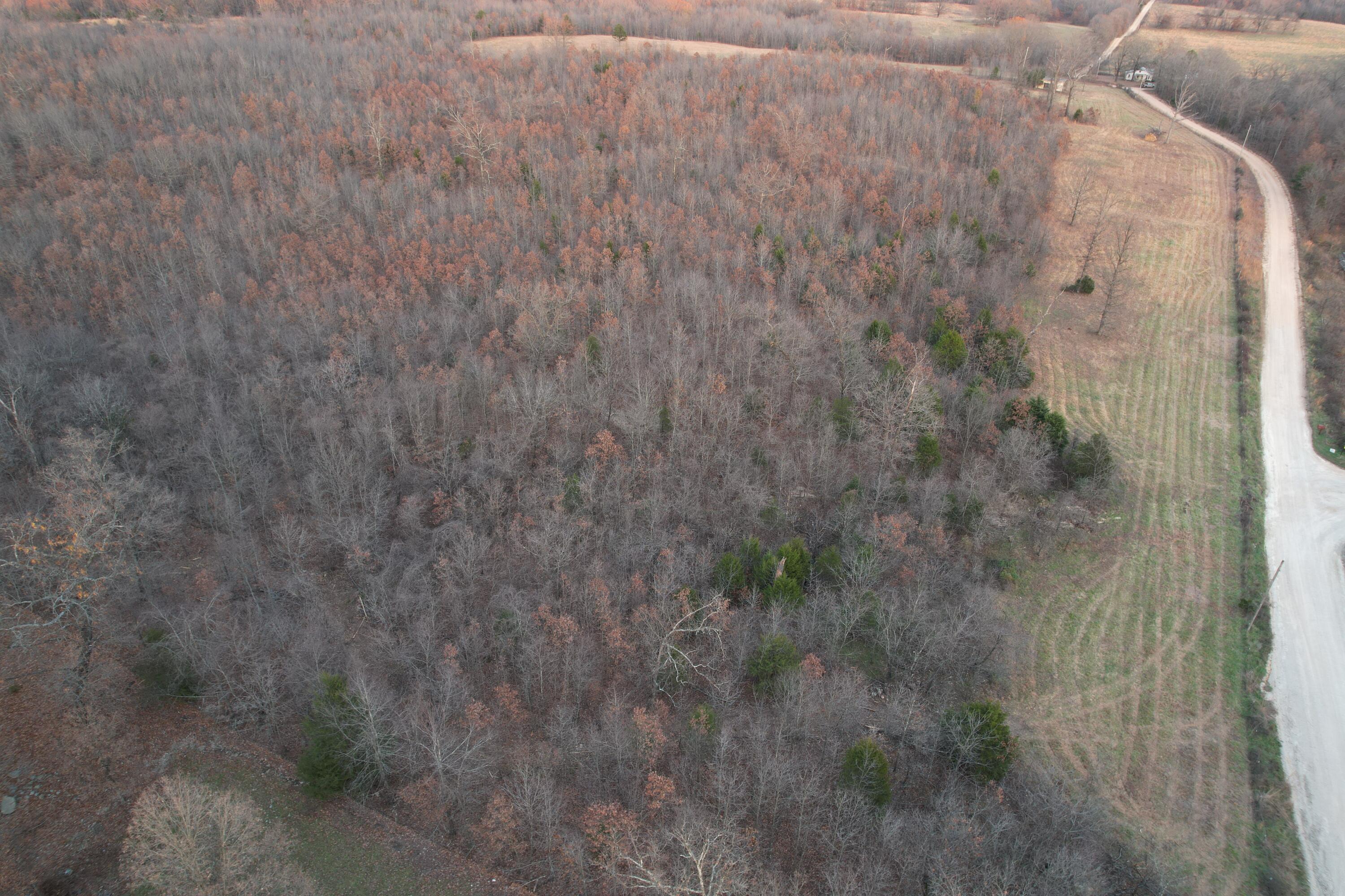 0000 County Road 2780 Property Photo 8
