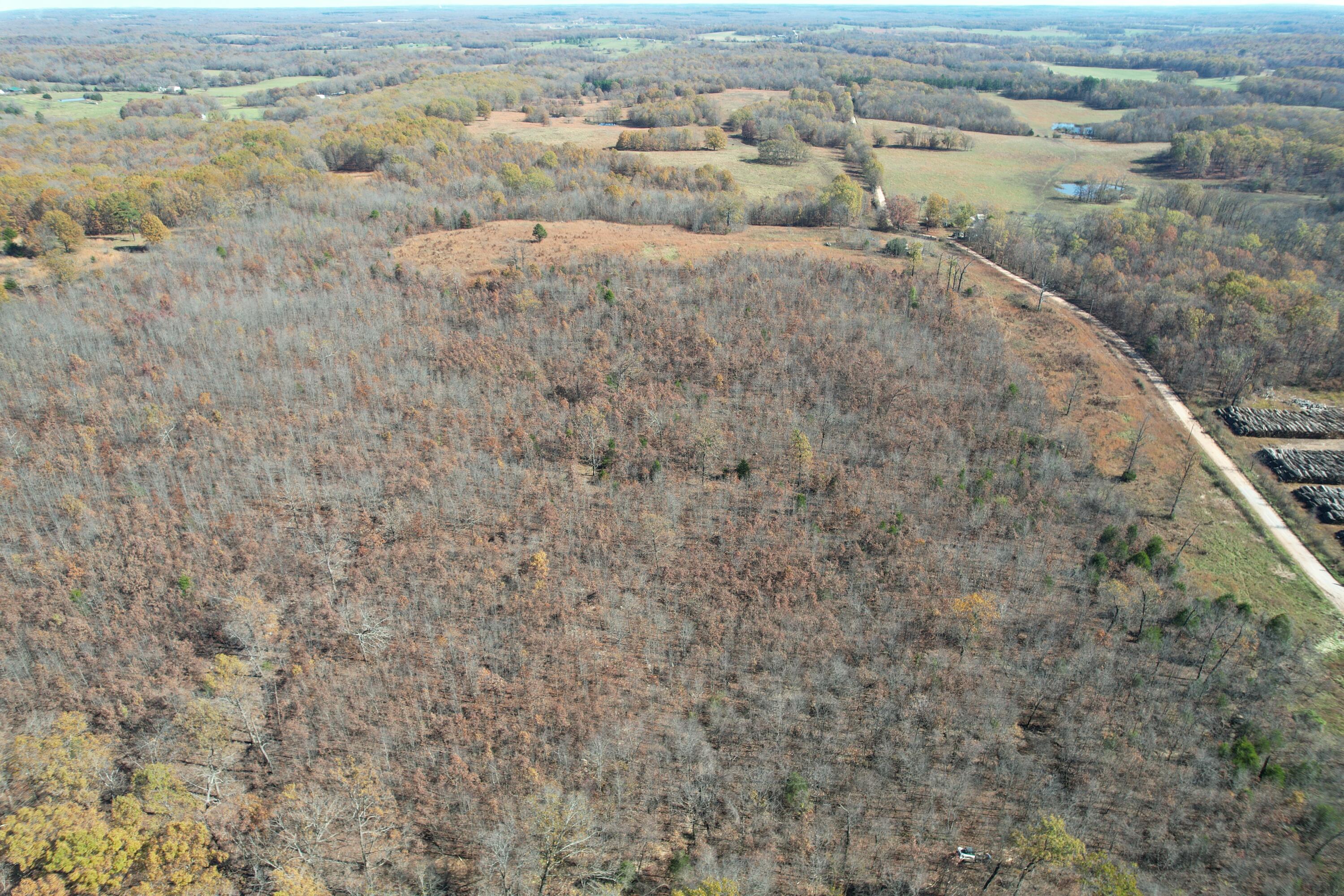 0000 County Road 2780 Property Photo 16
