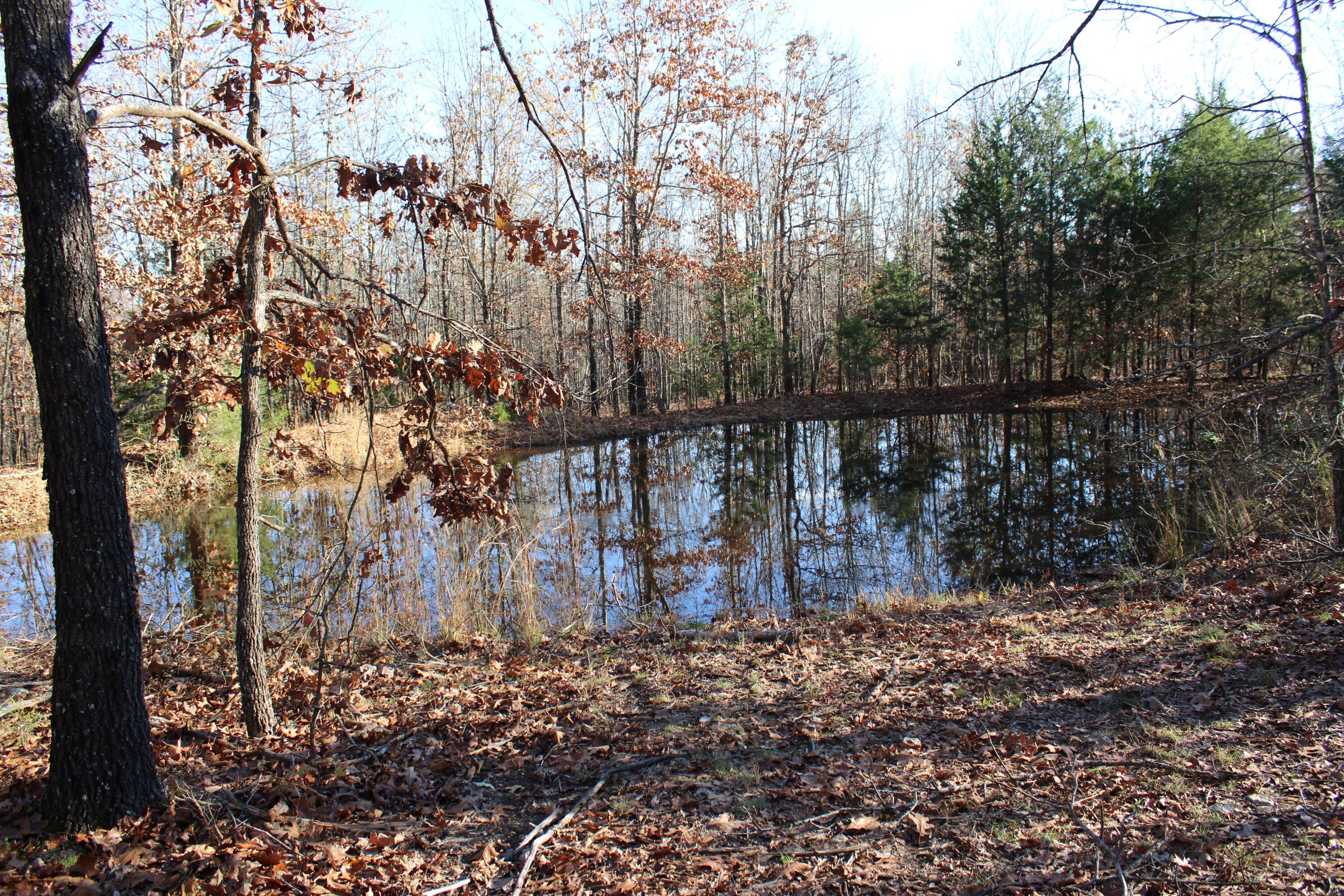 0000 County Road 2780 Property Photo 23