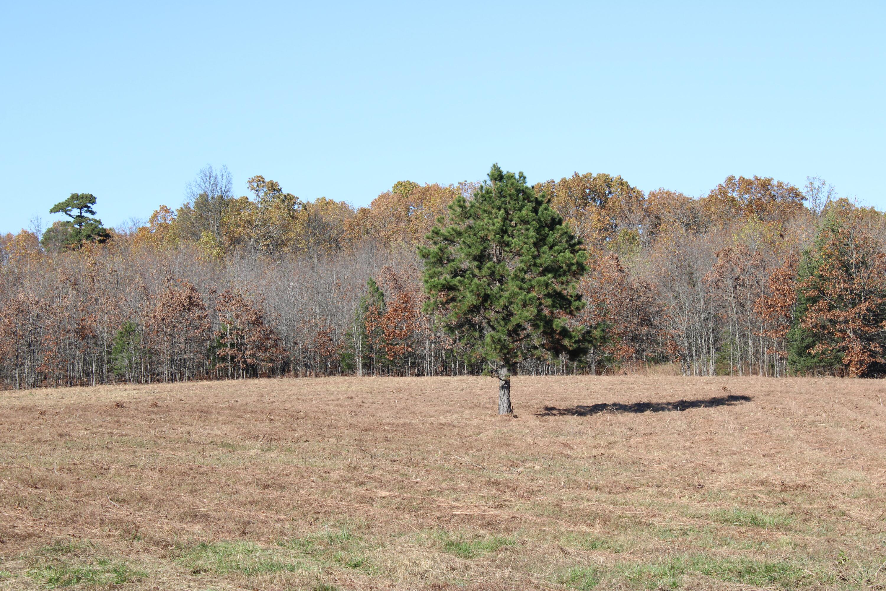 0000 County Road 2780 Property Photo 27