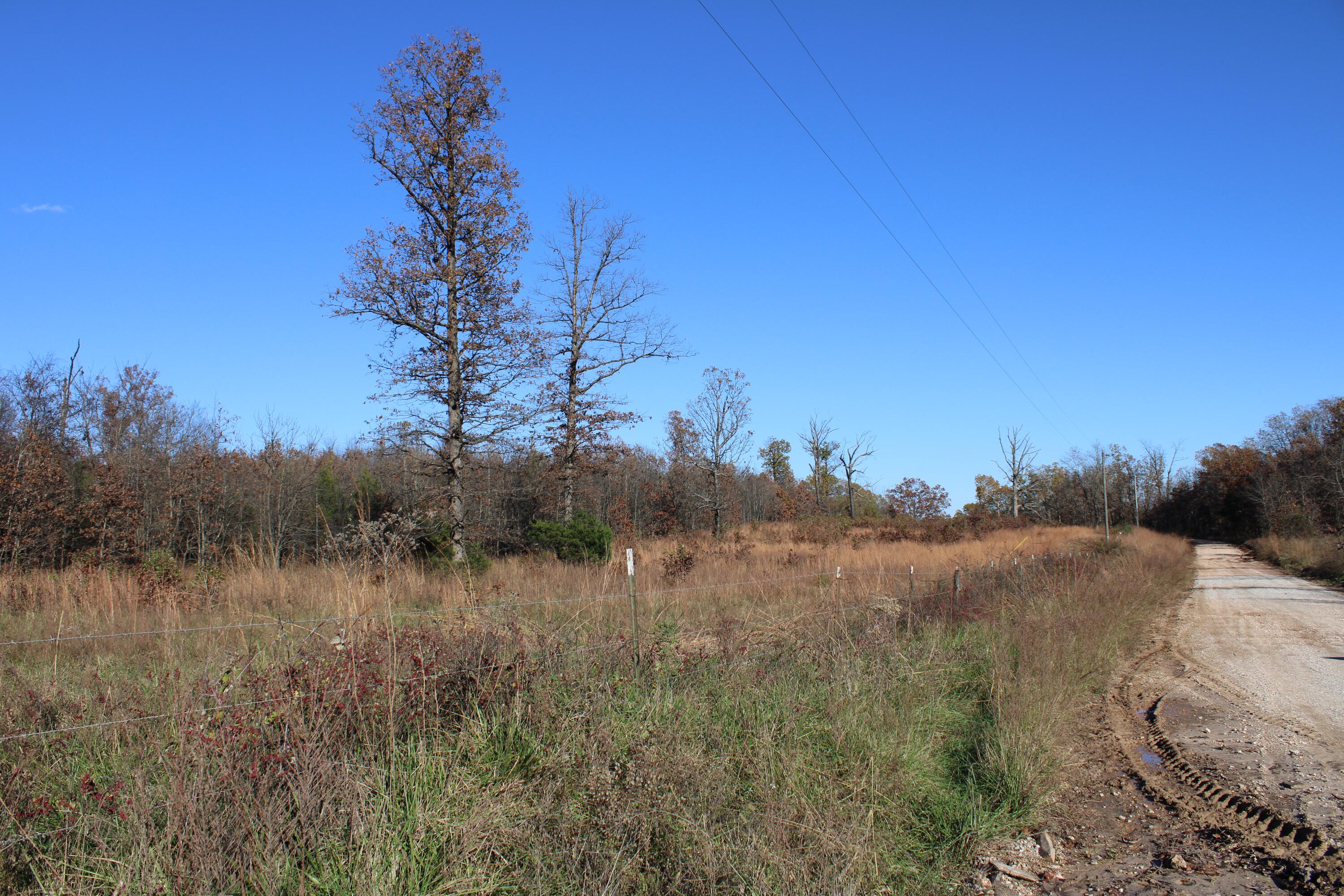 0000 County Road 2780 Property Photo 41