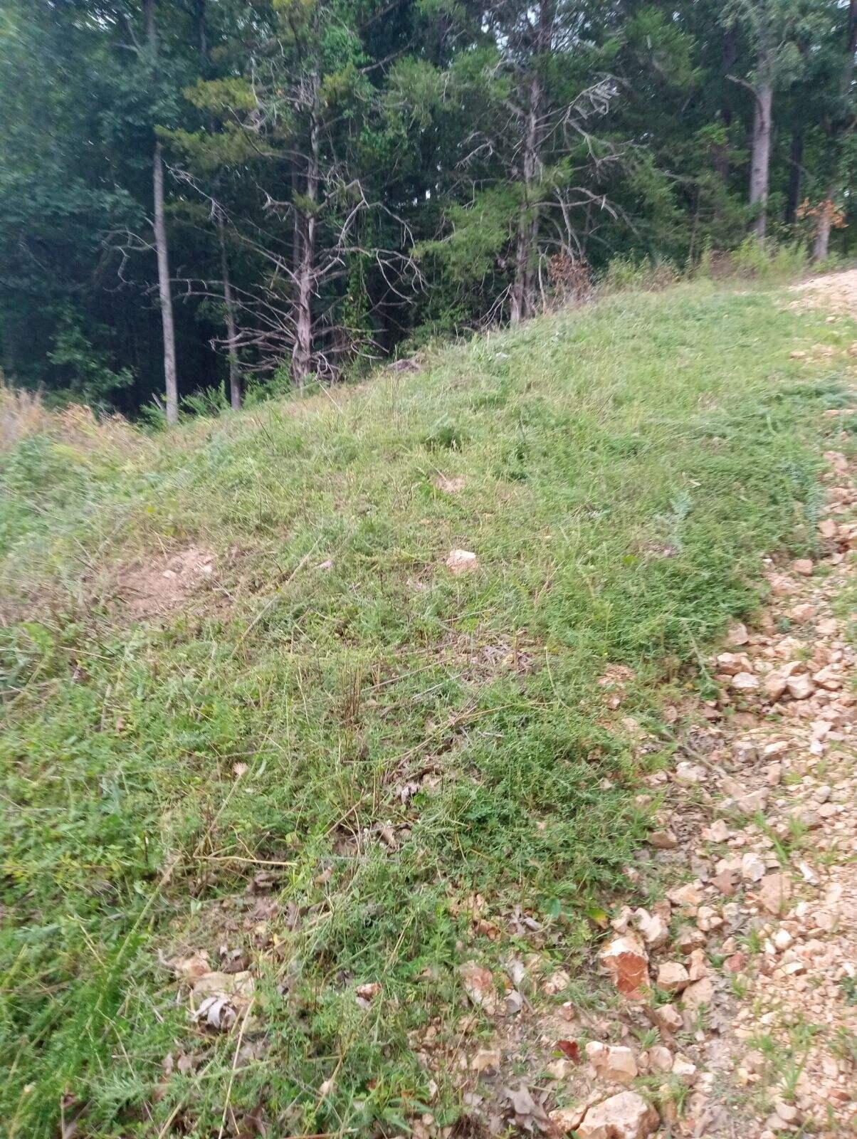 000 Ross Lane Property Photo 9