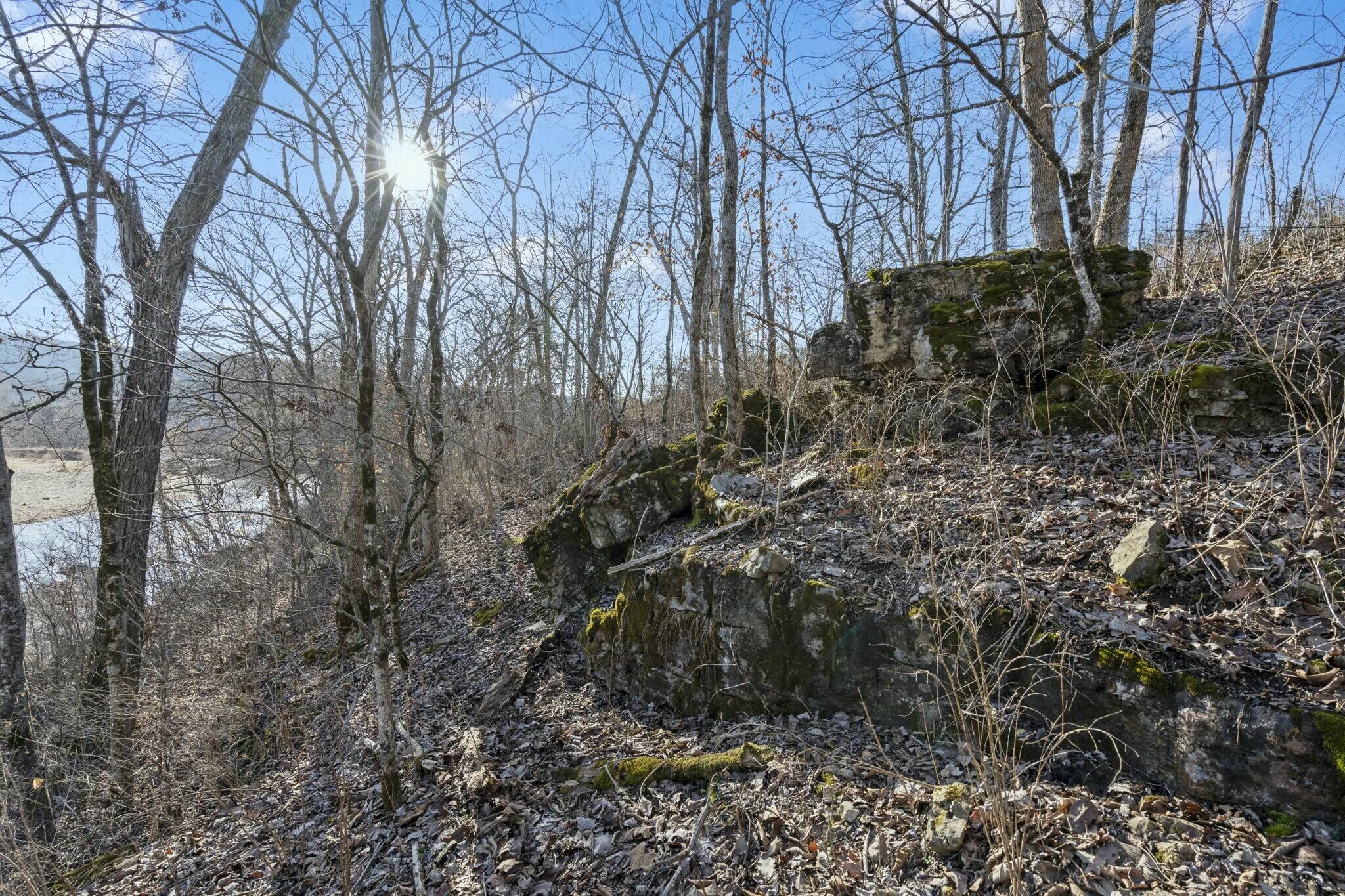 1920 Dry Hollow Road Property Photo 13