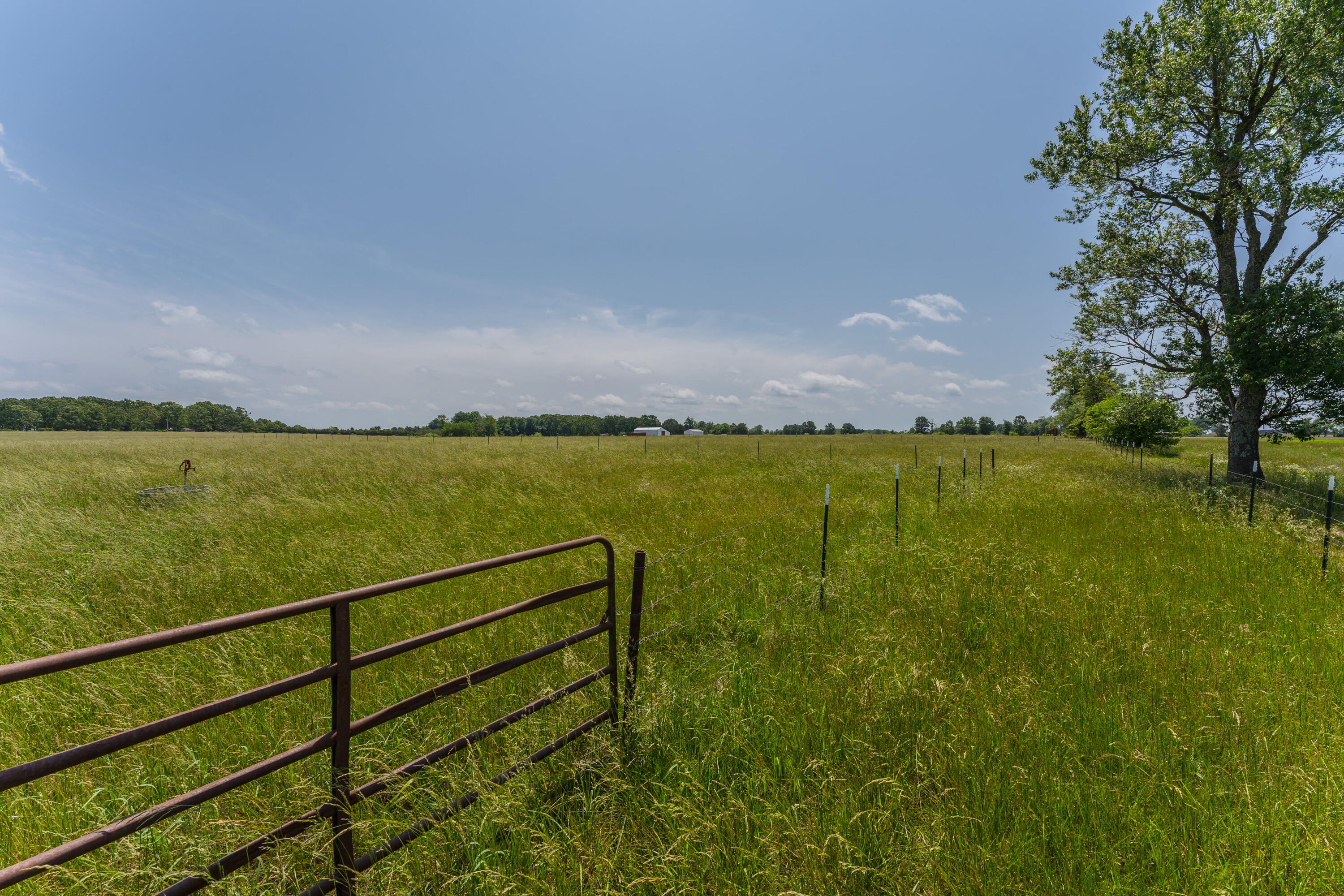 504 Brumback Road Property Photo 38