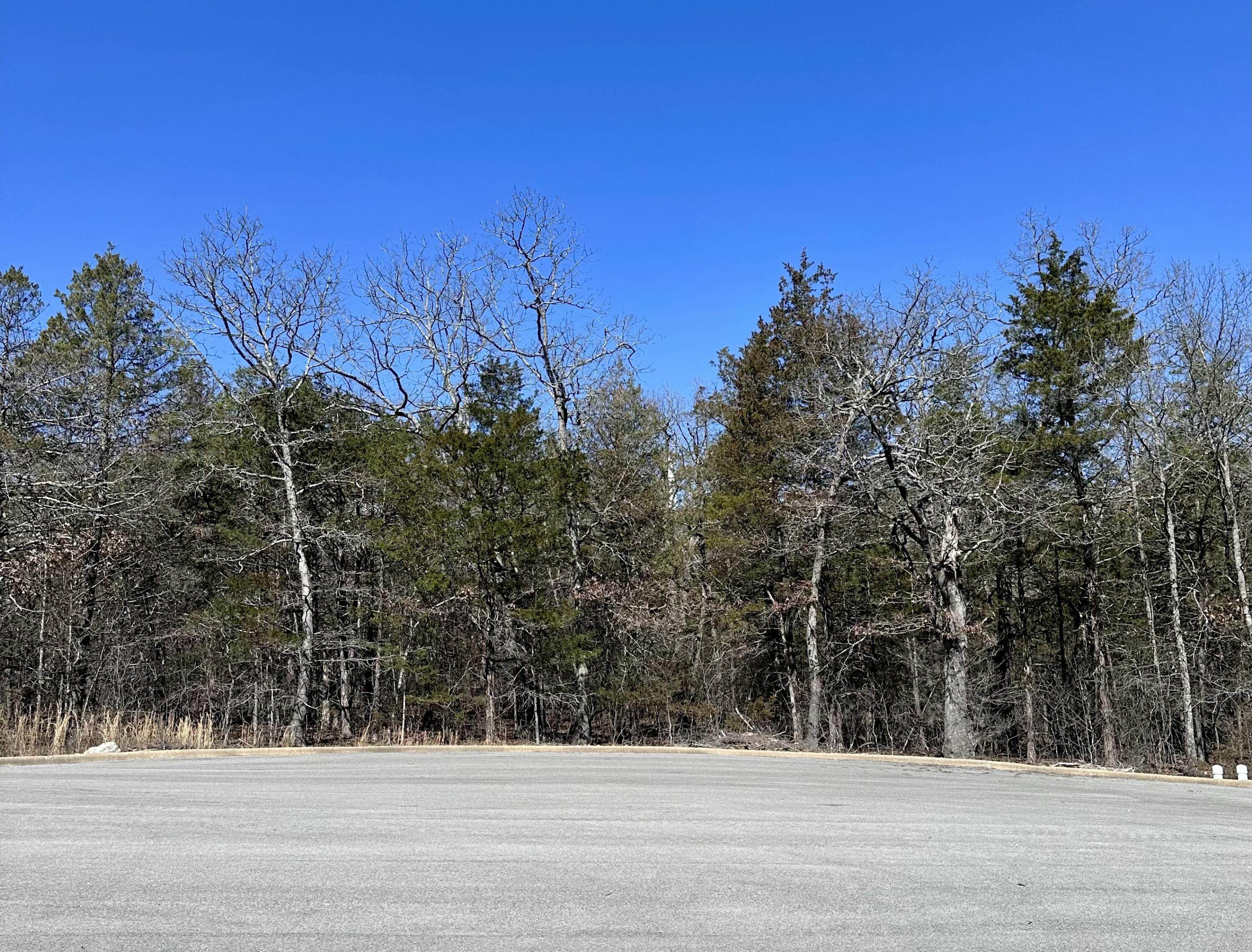 111 Samara Court Property Photo 3