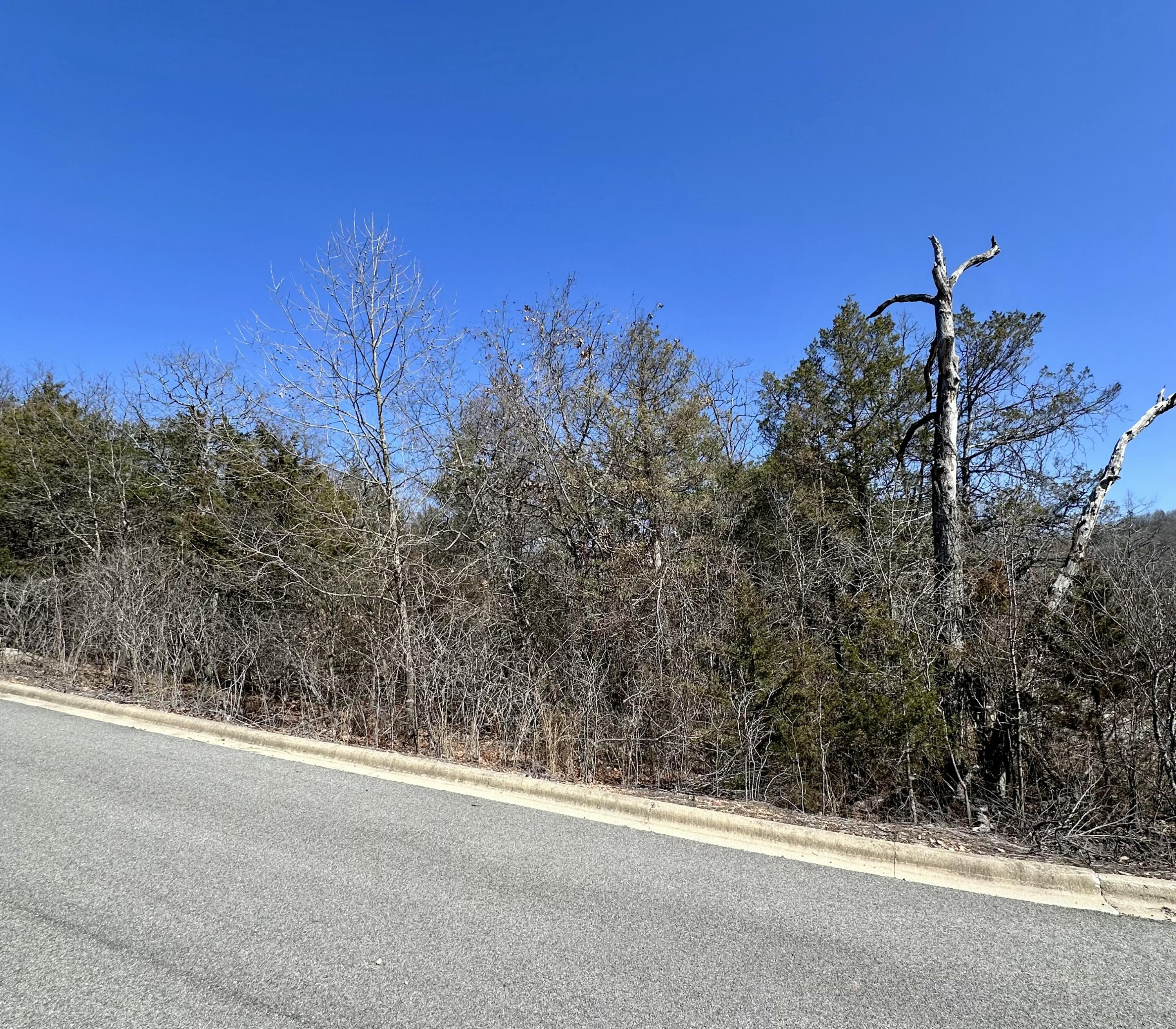 111 Samara Court Property Photo 4