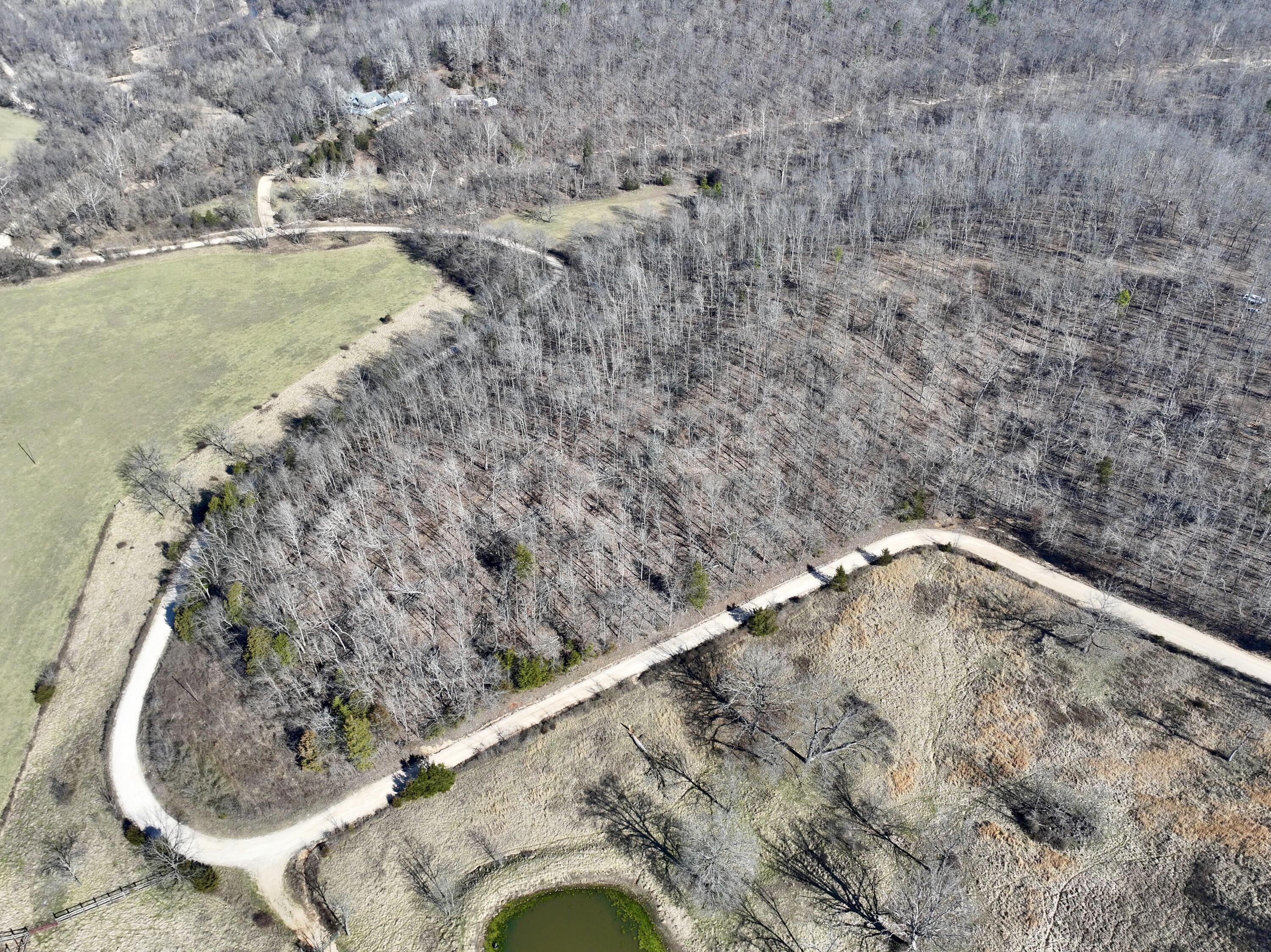 000 Carter 123 Lot 3 Property Photo 2