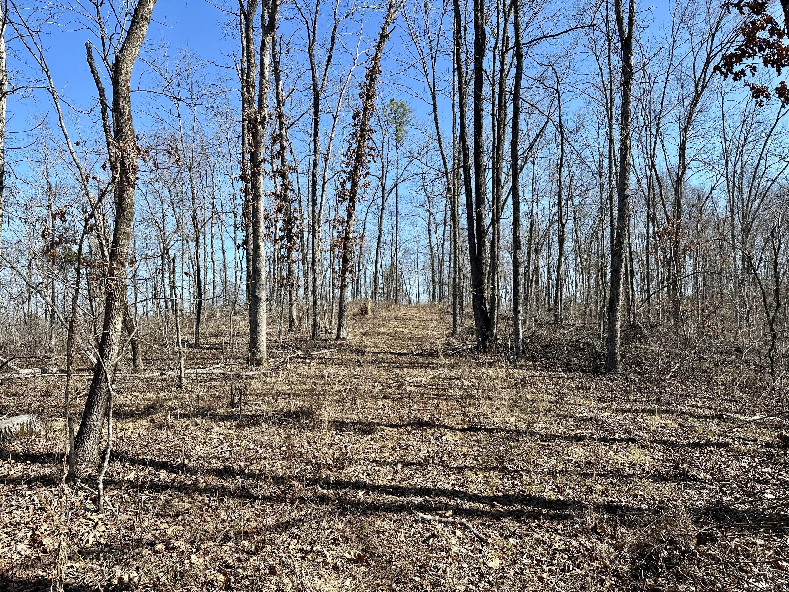 000 Carter 123 Lot 3 Property Photo 5