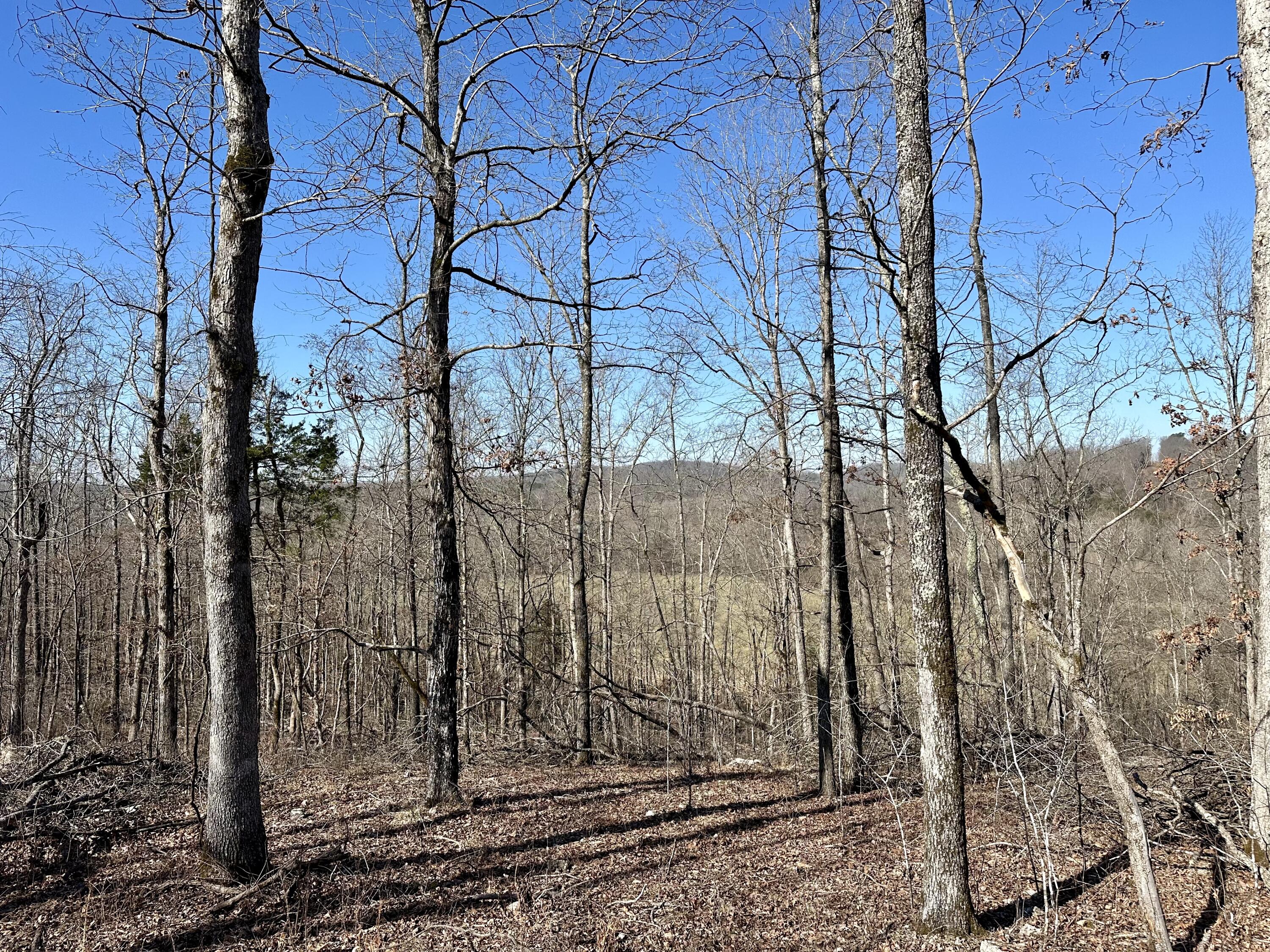 000 Carter 123 Lot 3 Property Photo 10