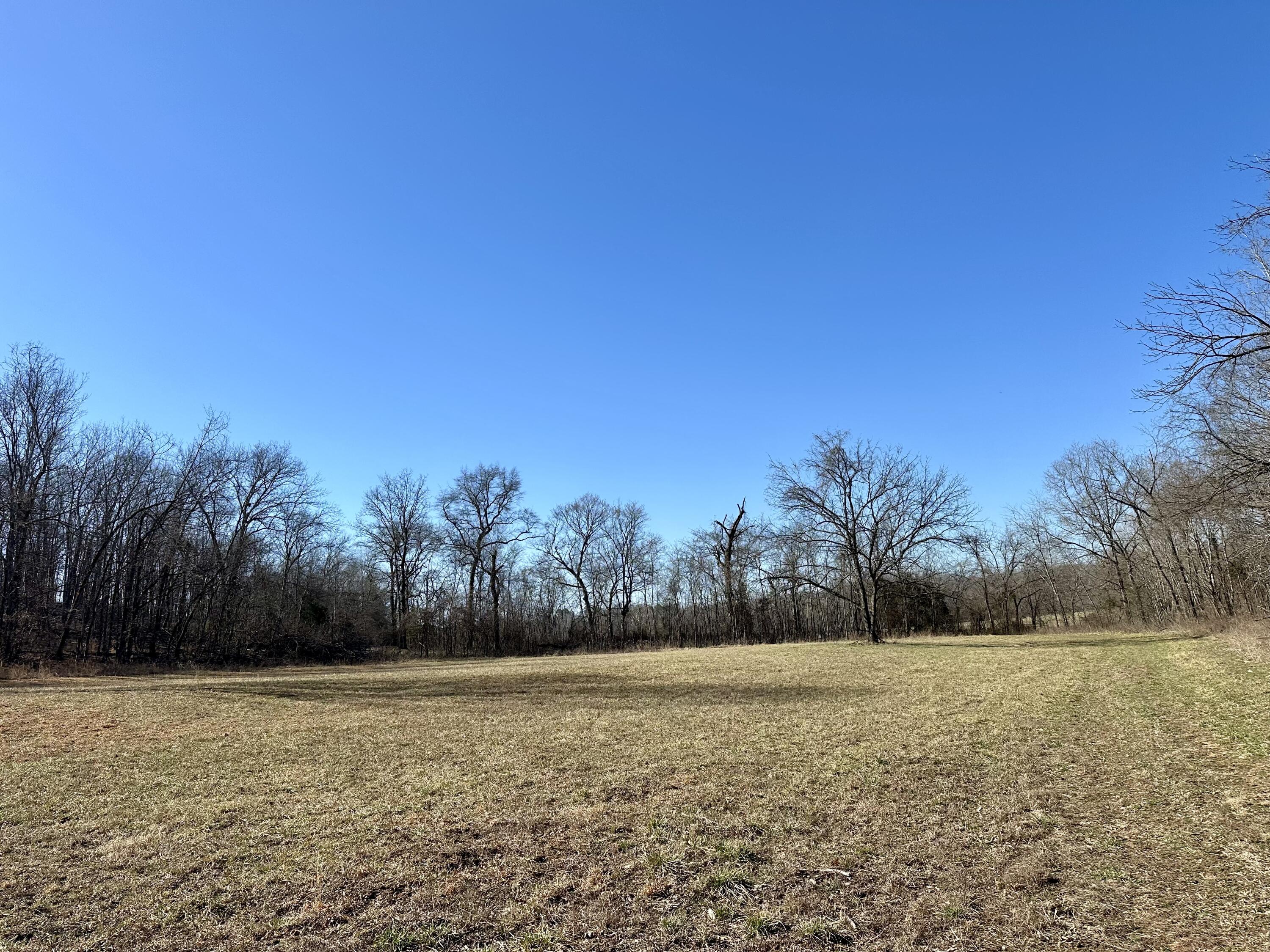 000 Carter 123 Lot 2 Property Photo 2