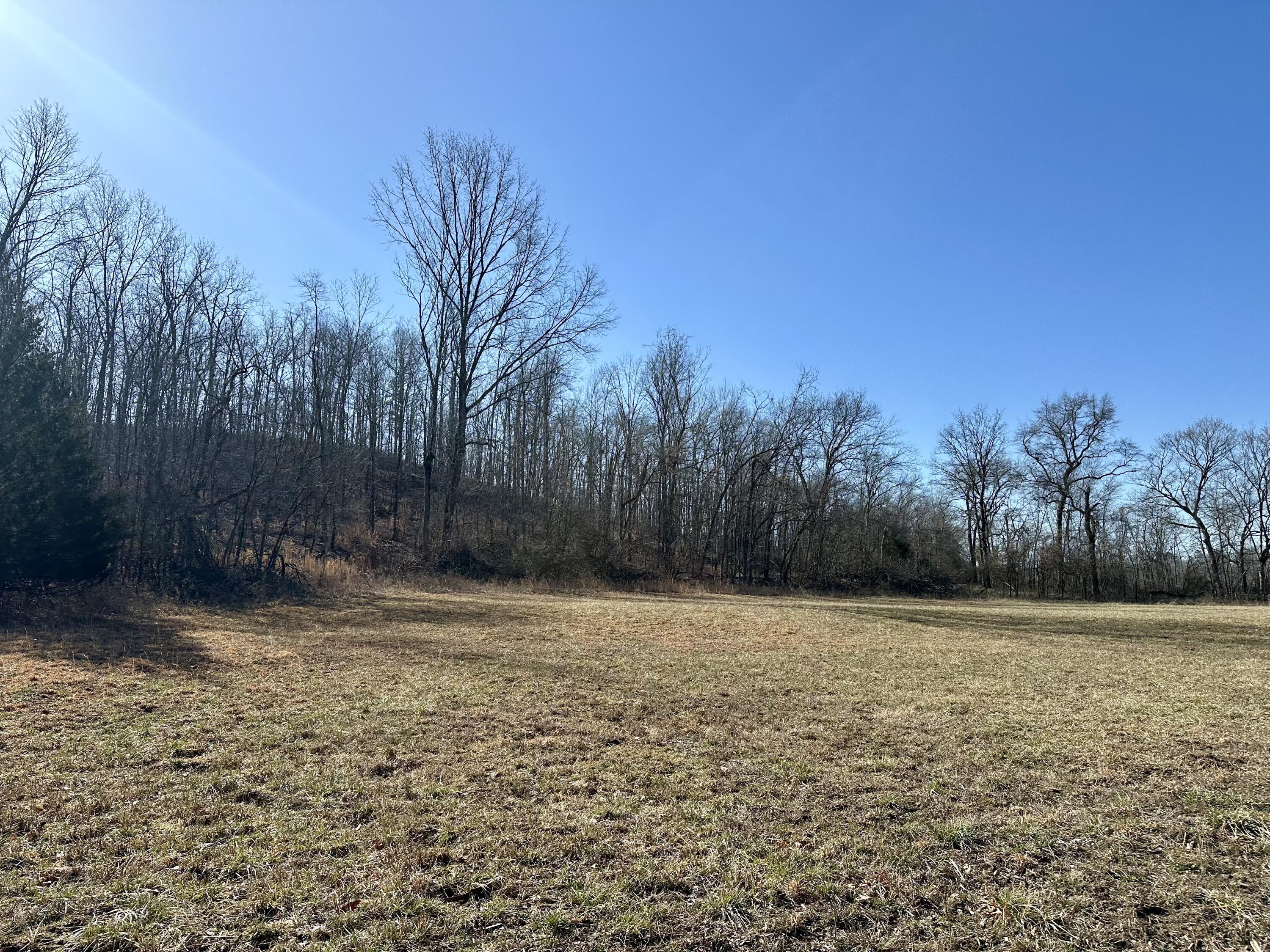 000 Carter 123 Lot 2 Property Photo 11