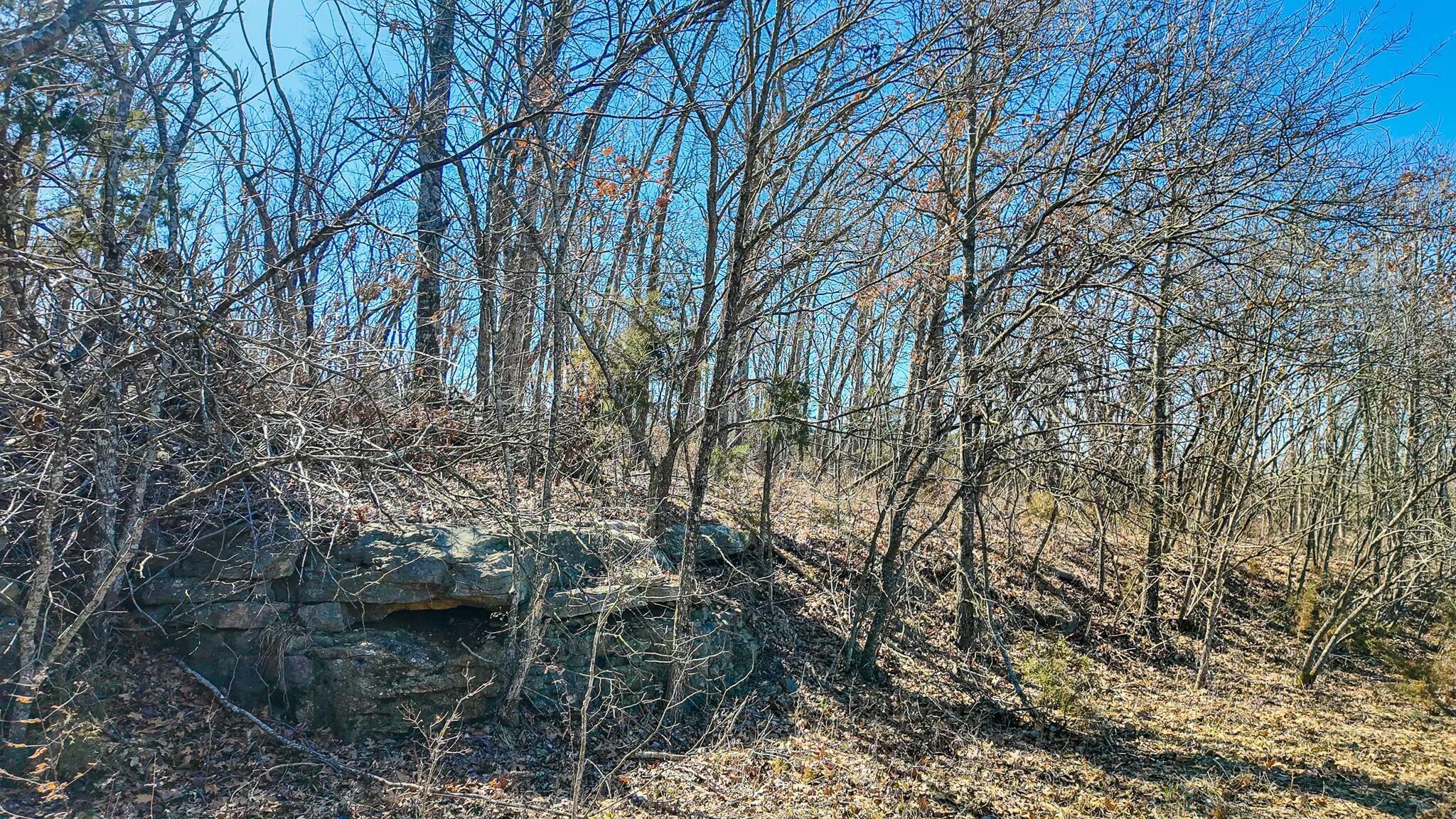 000 Southeast Highway 54 Property Photo 4
