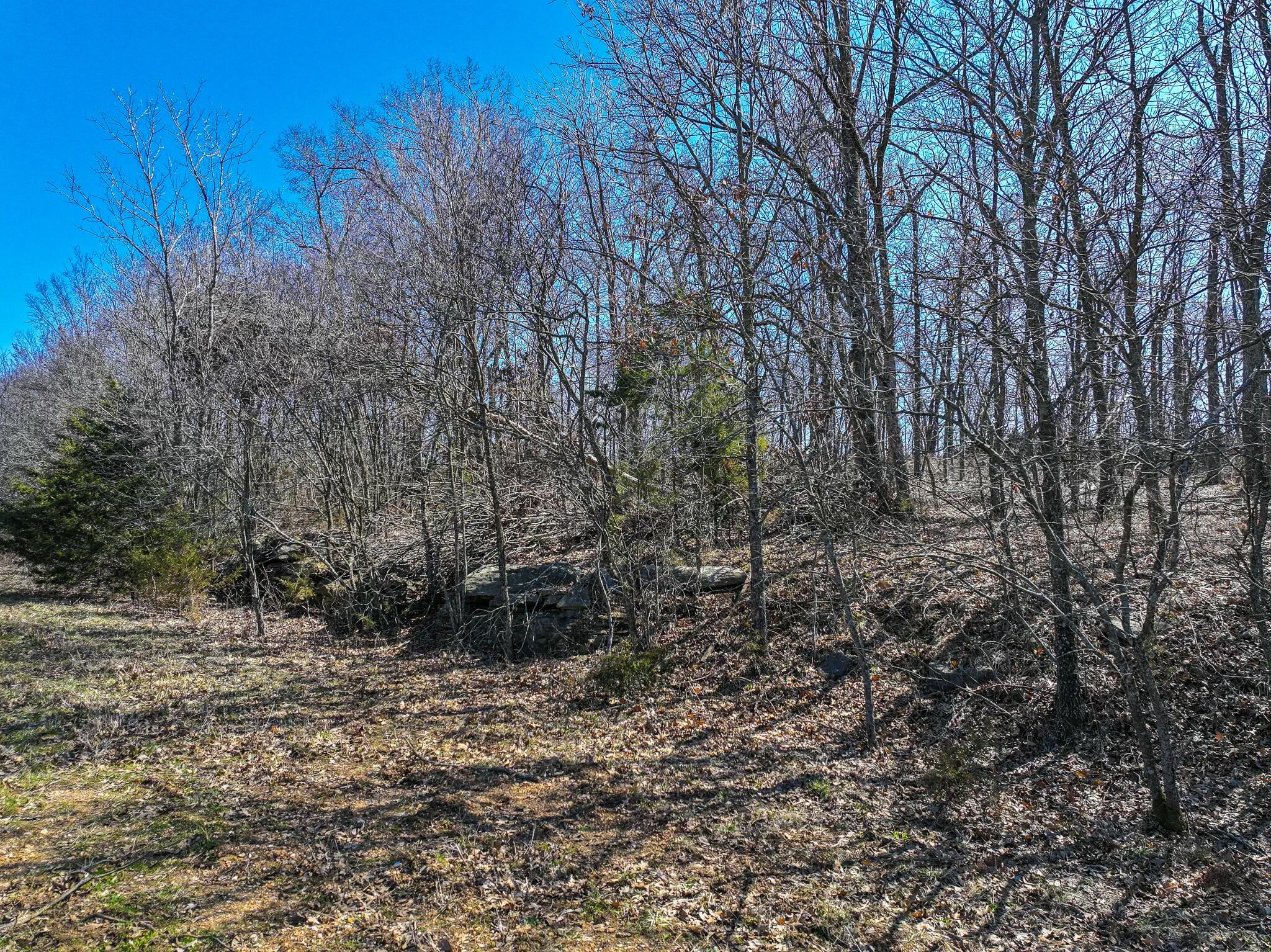 000 Southeast Highway 54 Property Photo 6
