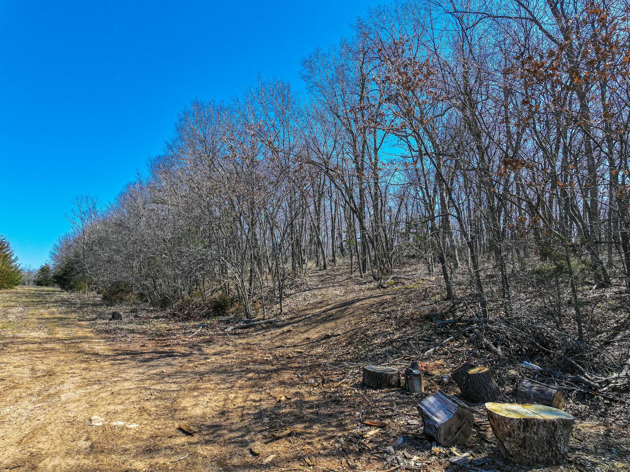 000 Southeast Highway 54 Property Photo 9