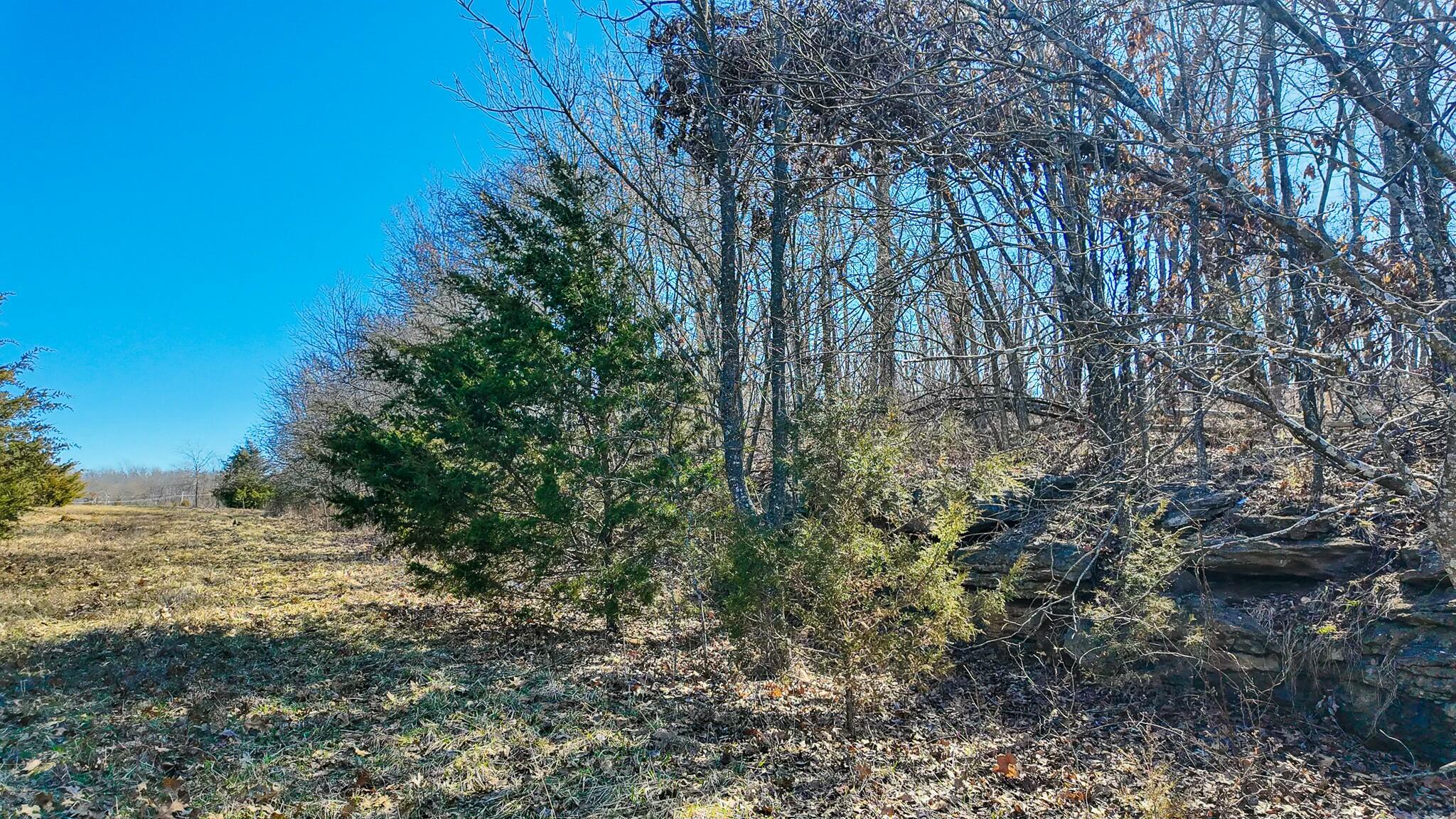 000 Southeast Highway 54 Property Photo 11