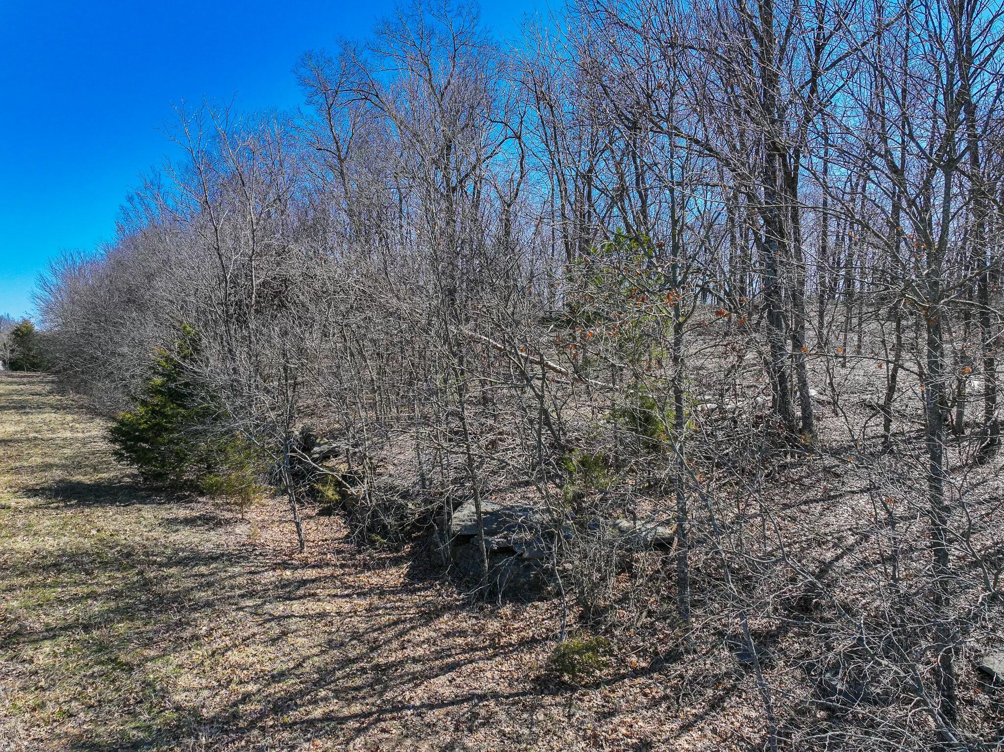 000 Southeast Highway 54 Property Photo 12
