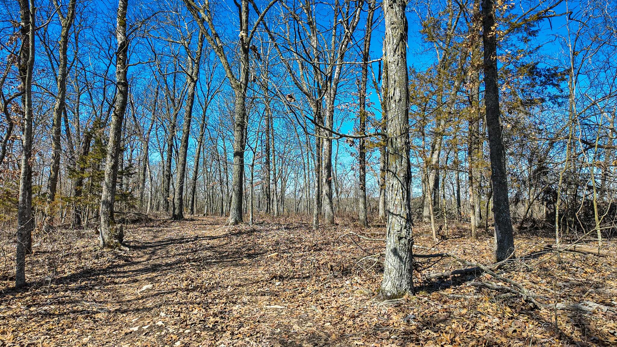000 Southeast Highway 54 Property Photo 15