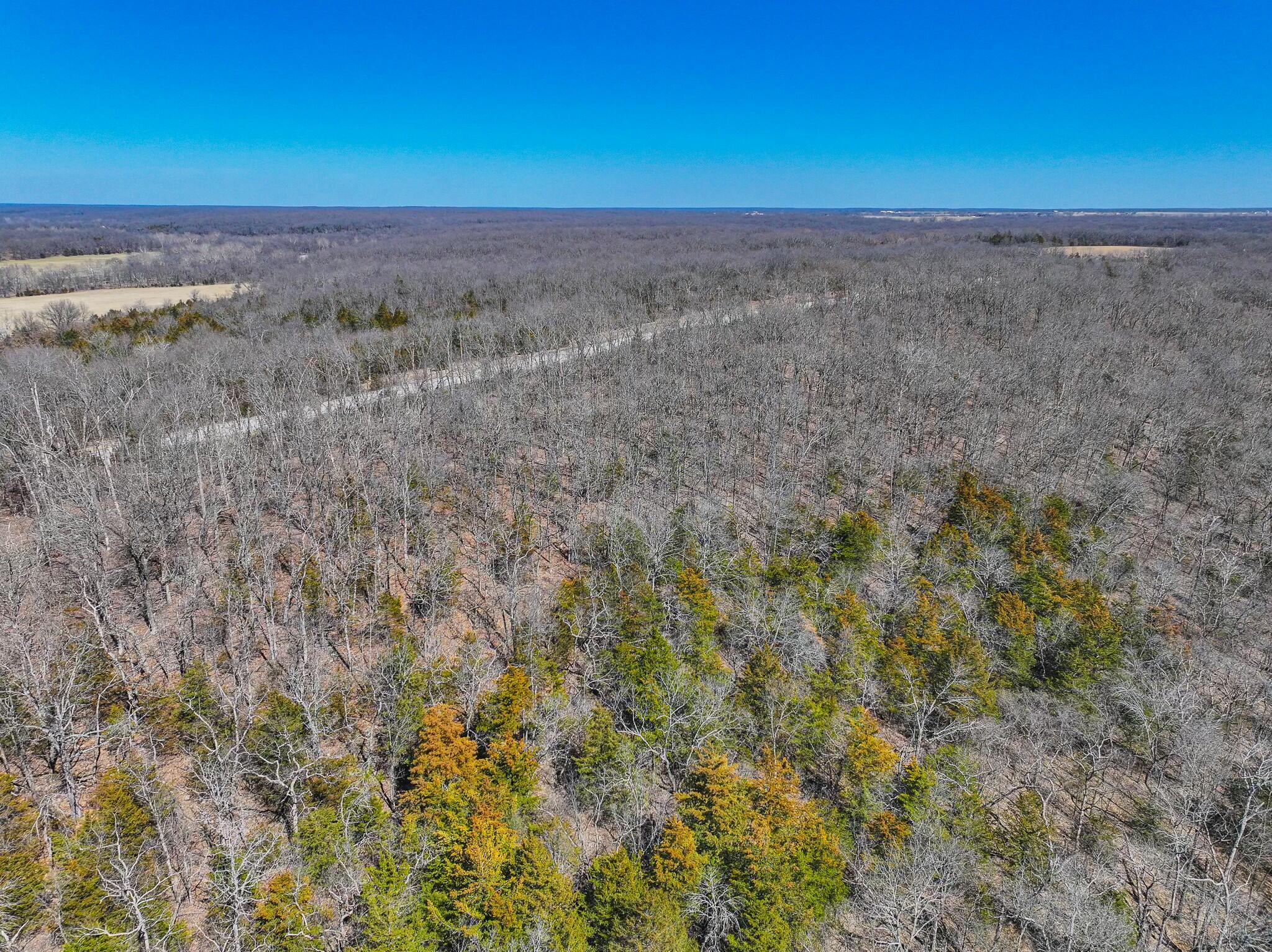 000 Southeast Highway 54 Property Photo 3