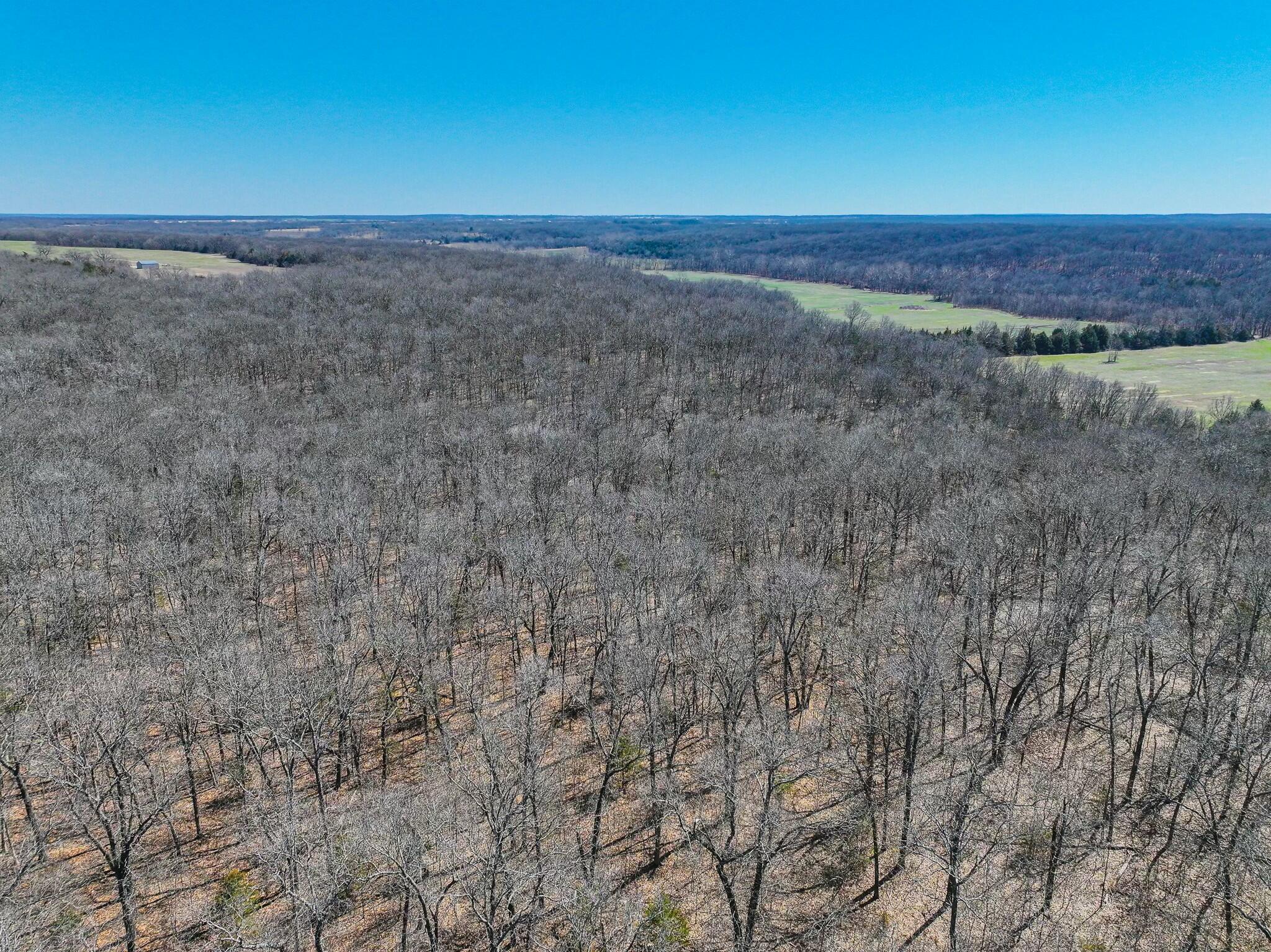 000 Southeast Highway 54 Property Photo 5